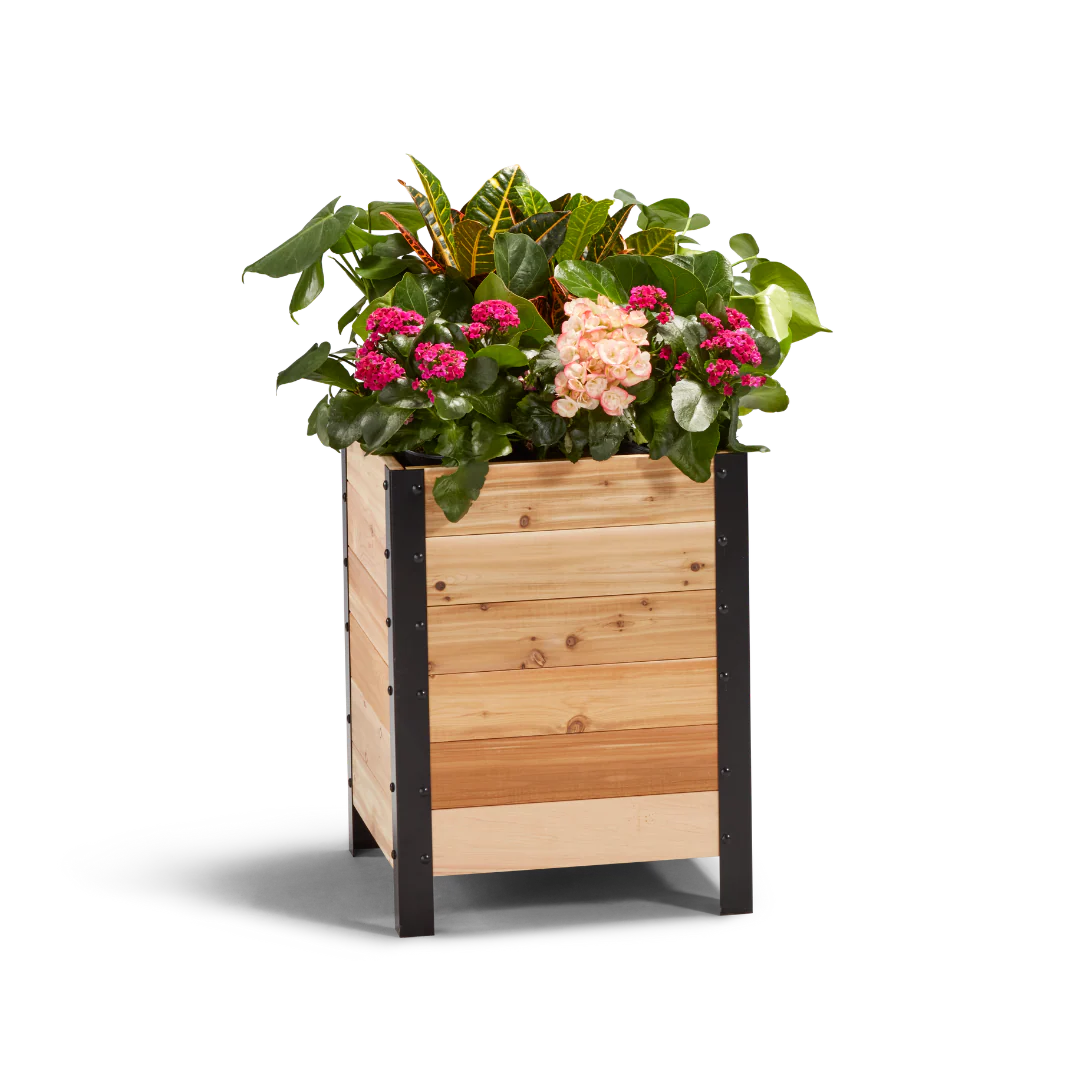 Cedar Planter Box, 18″W x 18″L - Image 5