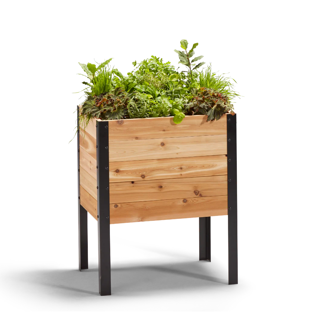 Cedar Raised Garden Bed, 18″W x 24″L - Image 2