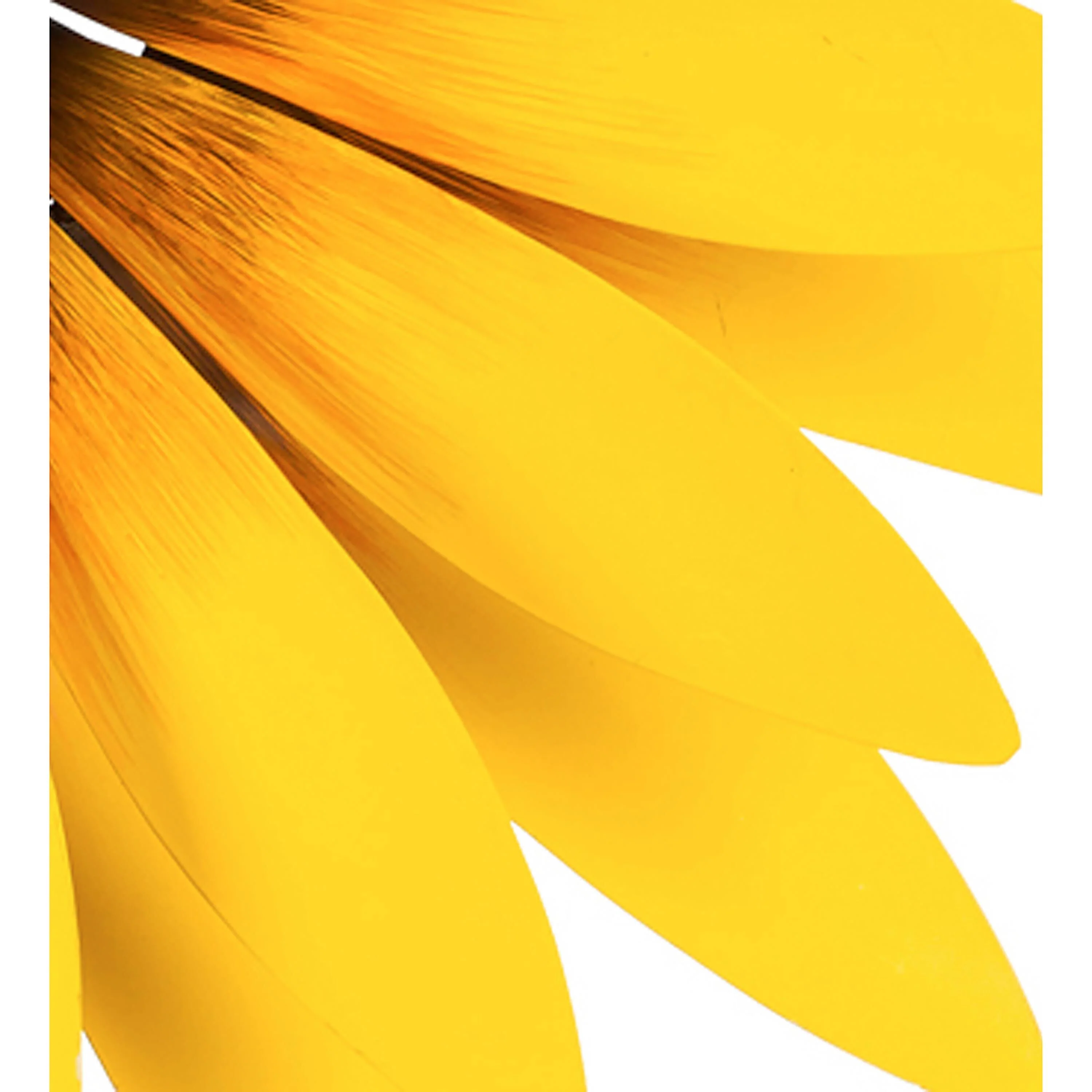 Sunflower Statement Wind Spinner, 75"H - Image 4