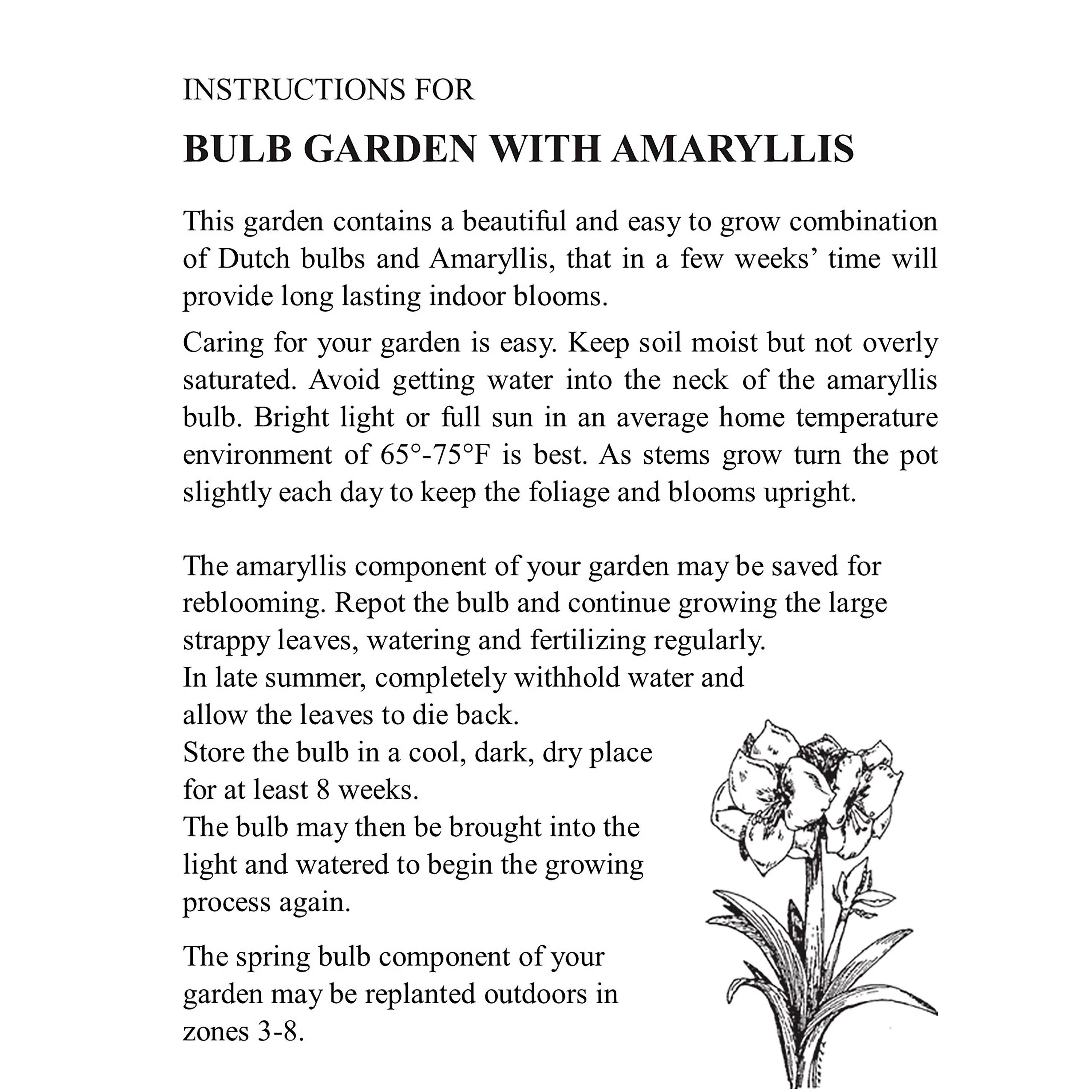 Chenille Sweater Self-Contained Waxed Amaryllis Flower Bulb - Image 5