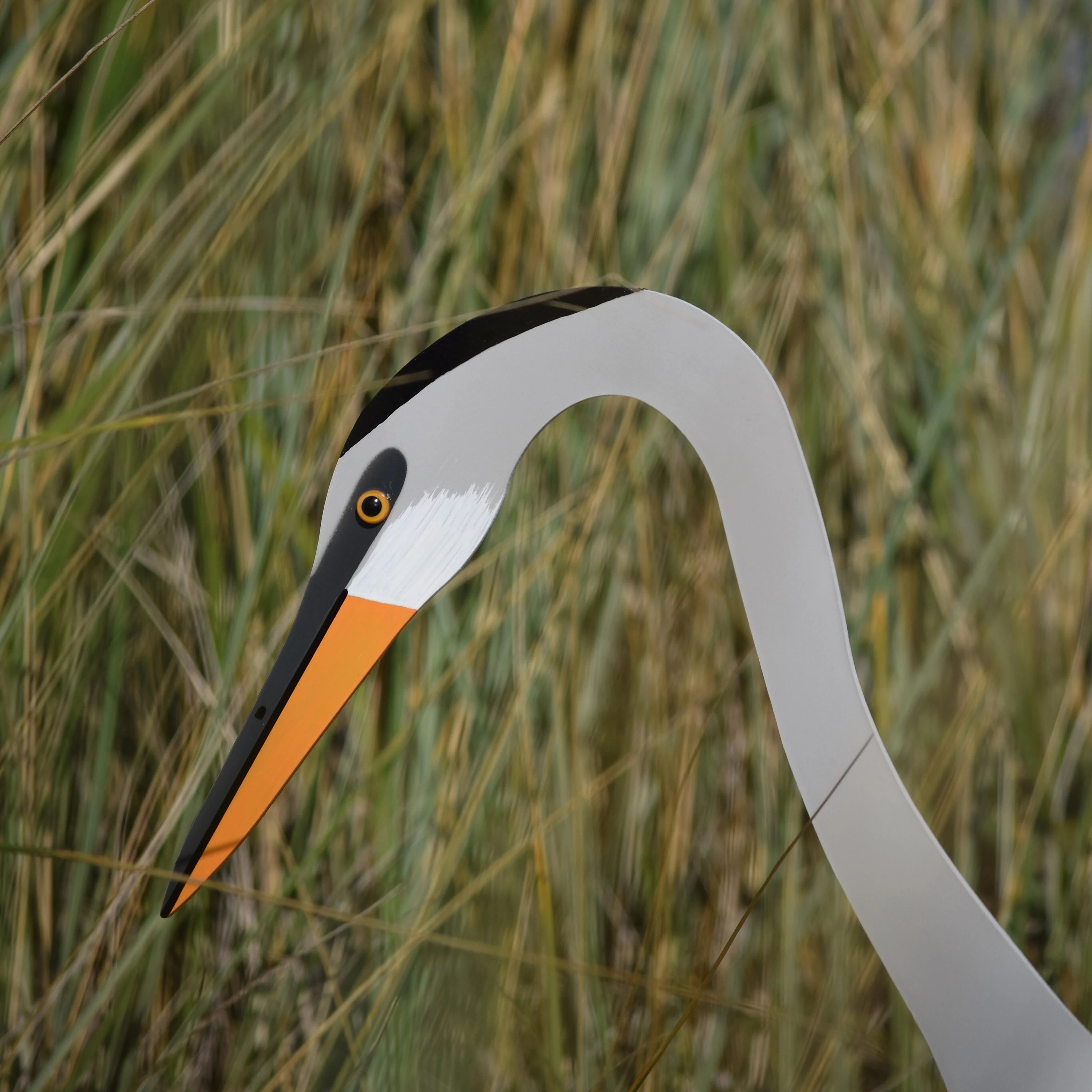 Great Blue Heron Dancing Bird - Image 3