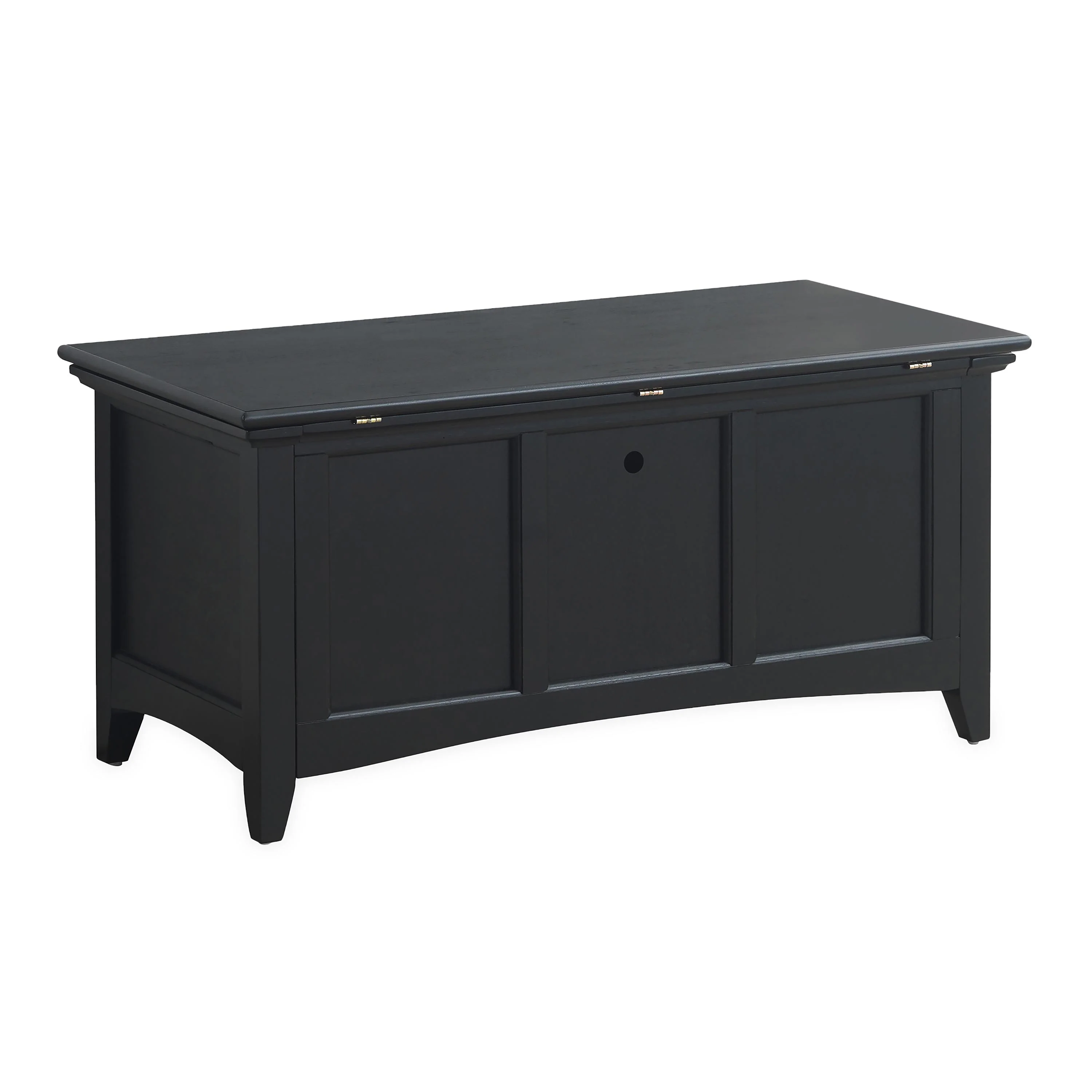 Hinged Paneled Storage Chest/Console - Image 10