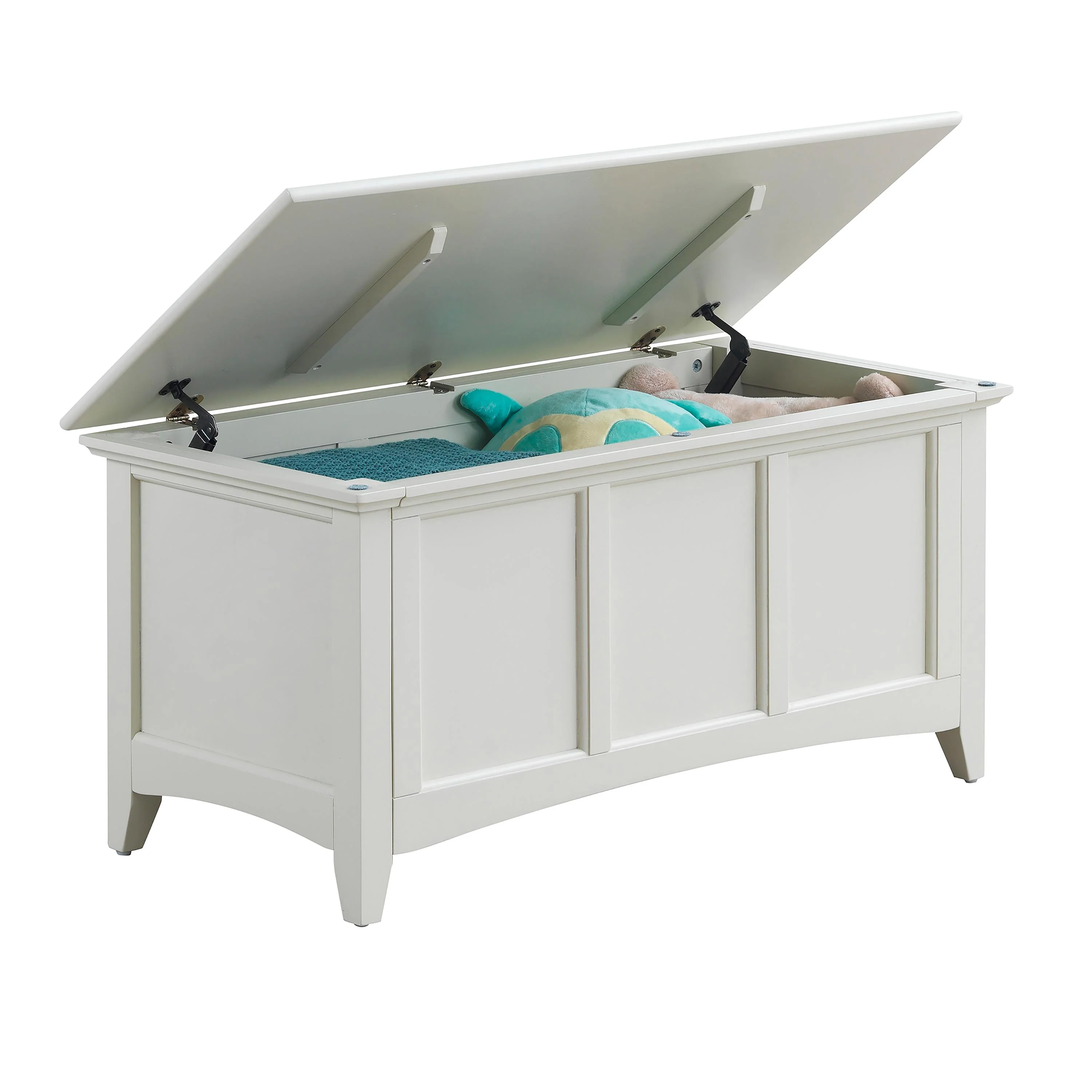 Hinged Paneled Storage Chest/Console - Image 5