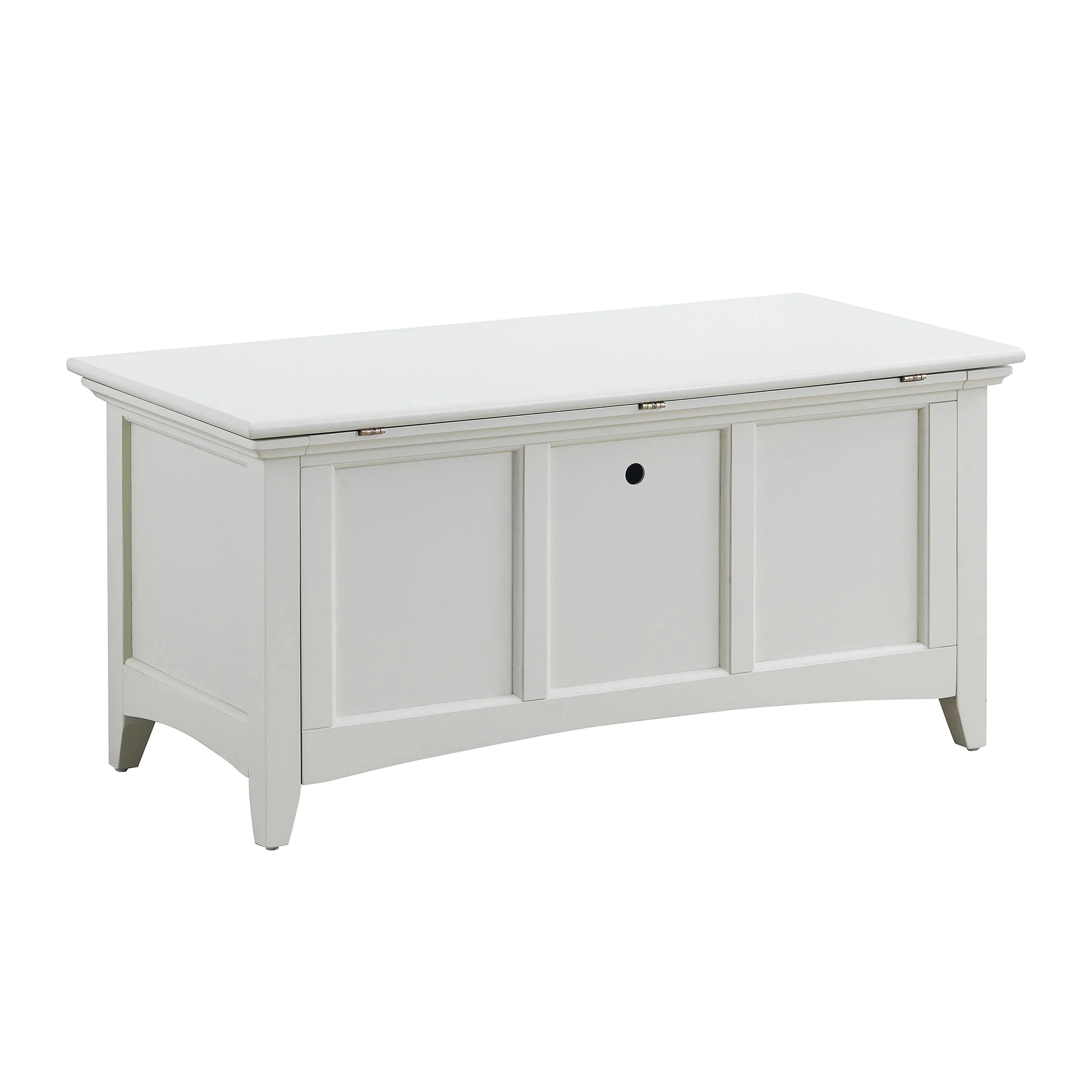 Hinged Paneled Storage Chest/Console - Image 8