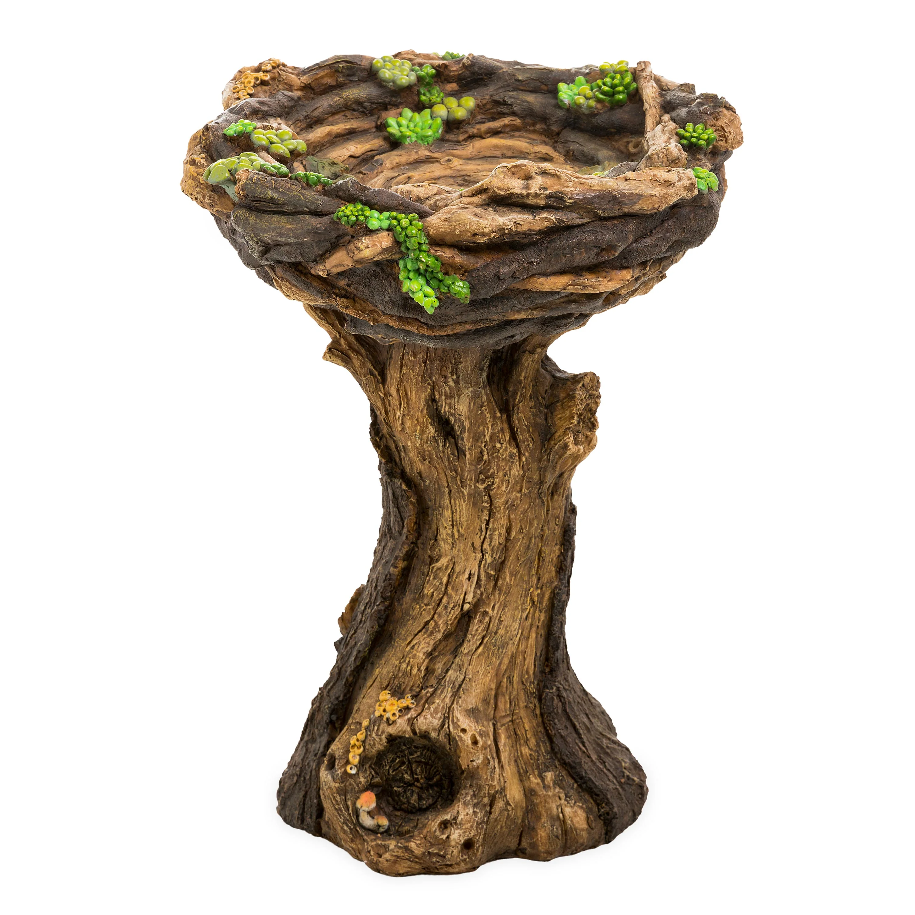 Succulent Bird Nest Tree Stump Birdbath - Image 4