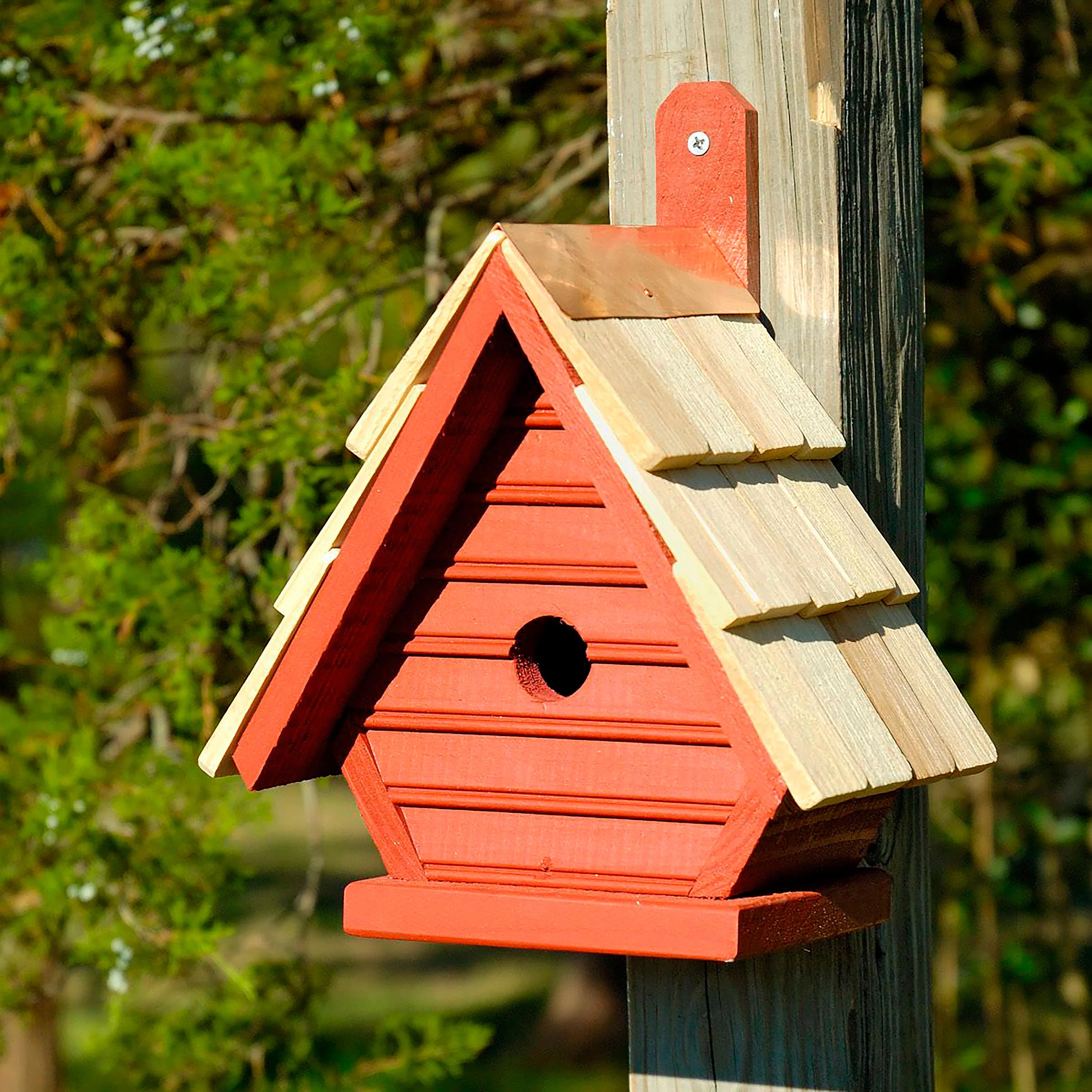 Chic Chick Birdhouse - Image 3
