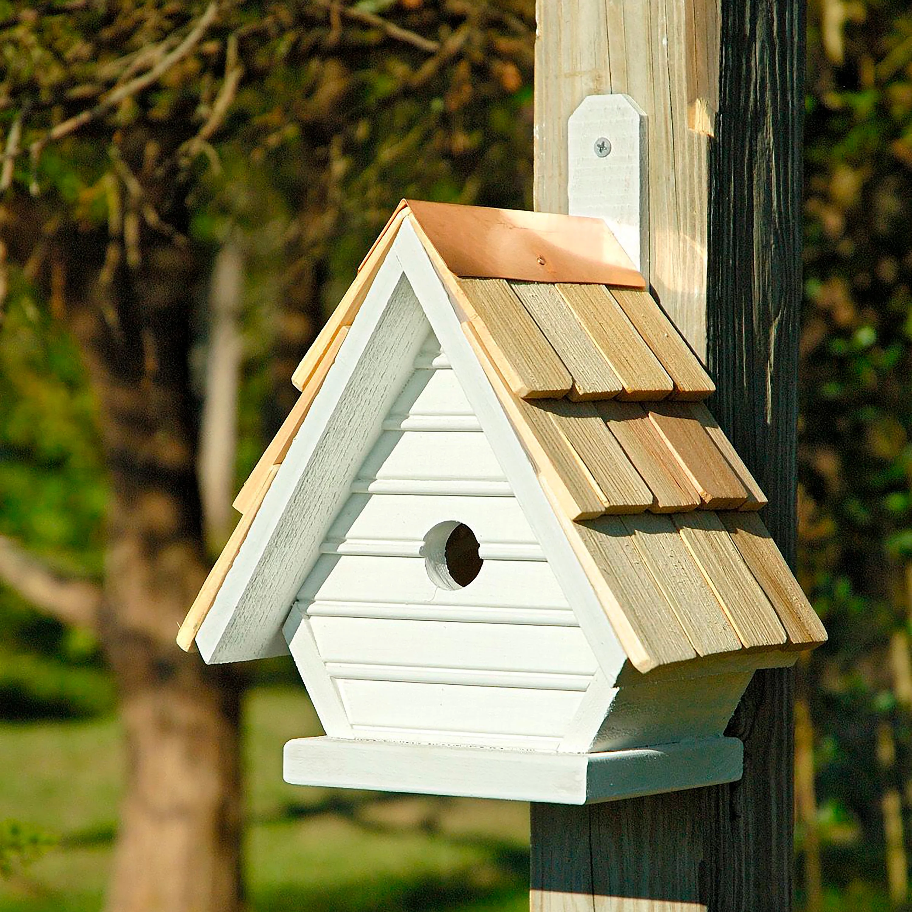 Chic Chick Birdhouse - Image 5