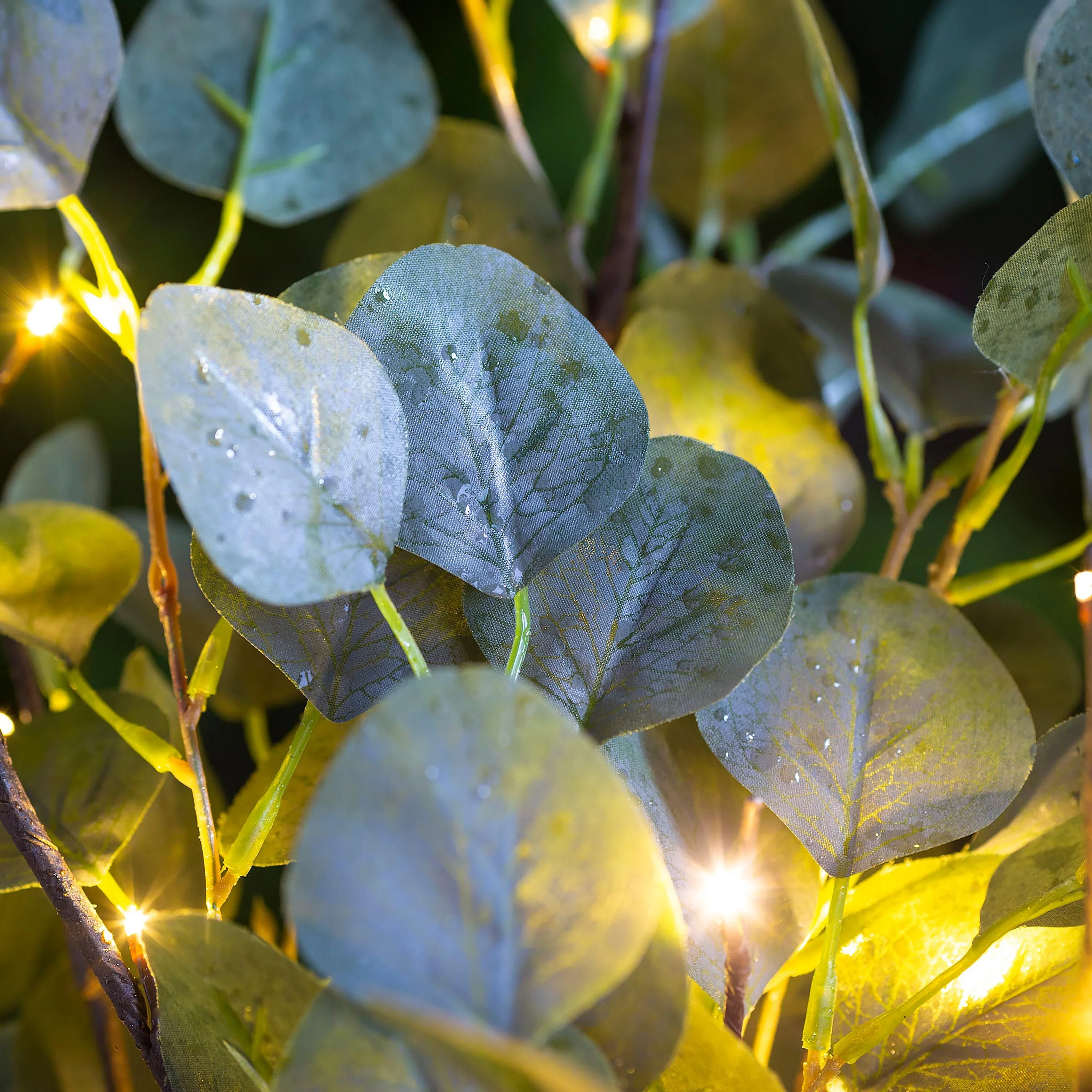 Indoor/Outdoor Battery-Operated Lighted Eucalyptus Branches, Set of 2 - Image 4