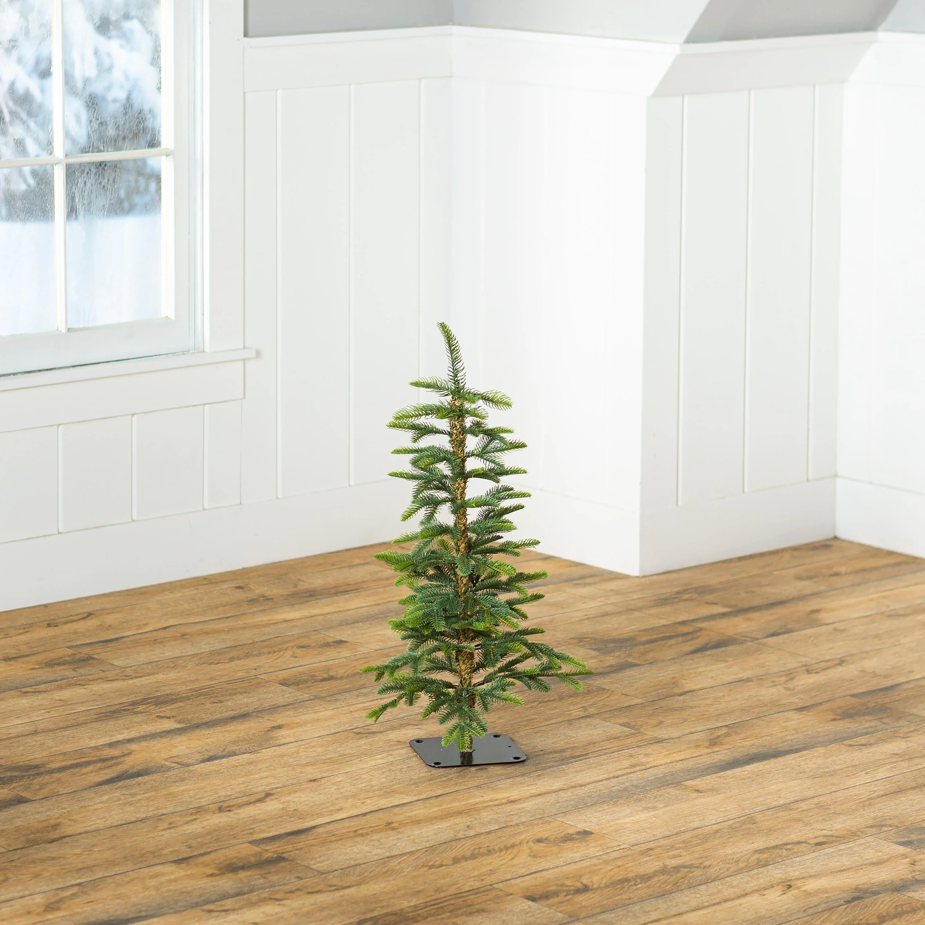 24"H Monte Rosa Alpine Fir Tabletop Tree - Image 6