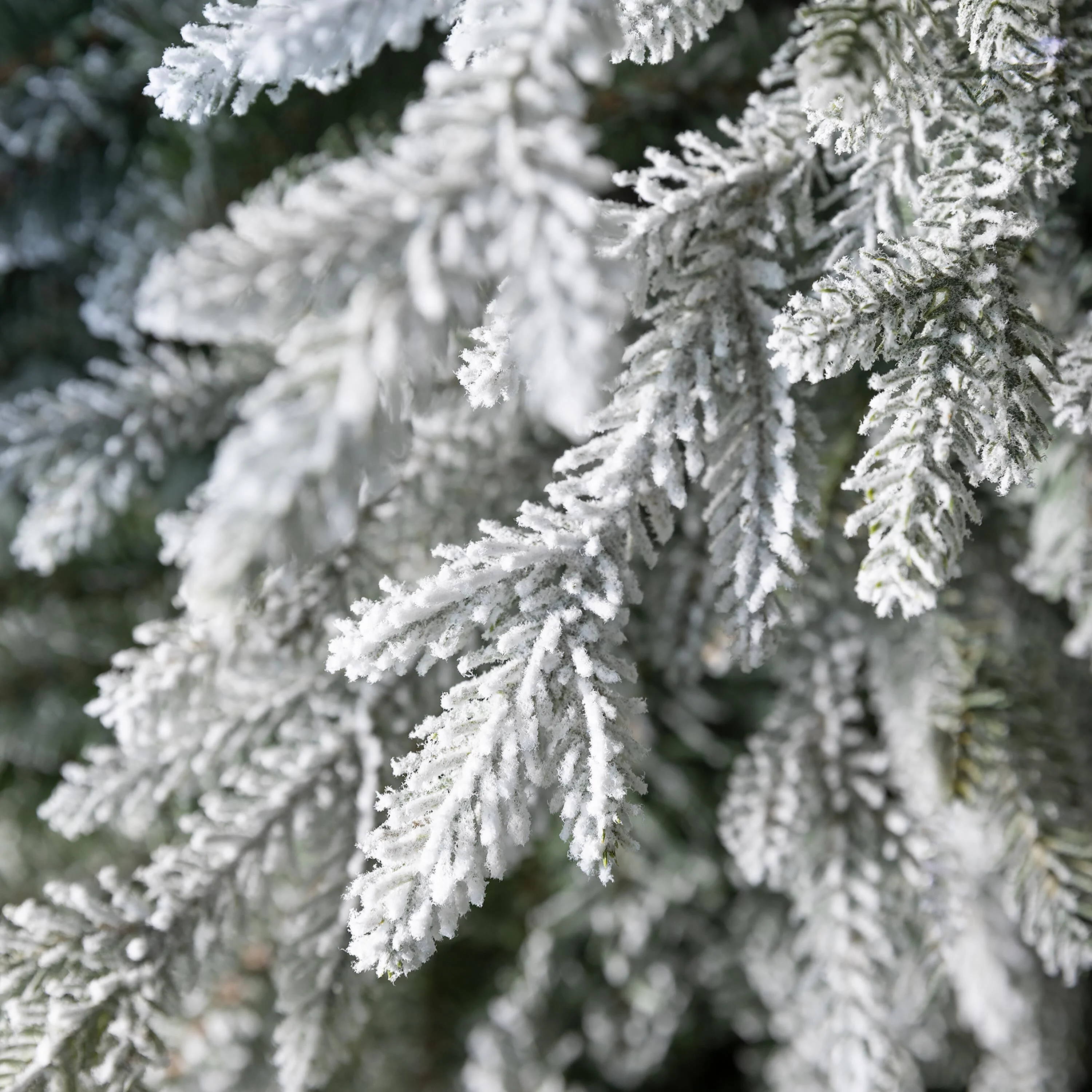 Flocked Roanoke Spruce Christmas Tree - Image 3