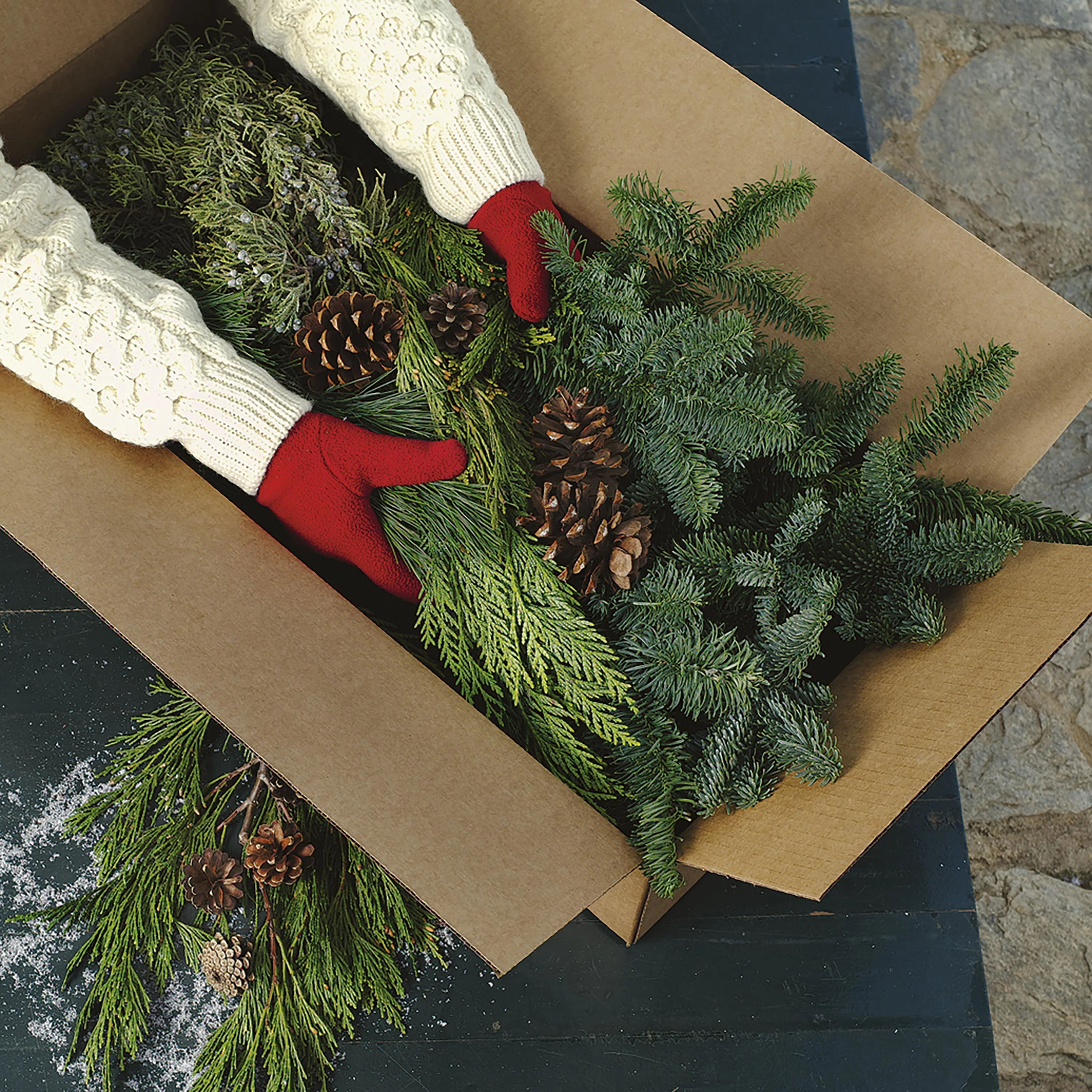 Holiday Woodland Evergreens 7 Lb. Box Of Greens - Image 2