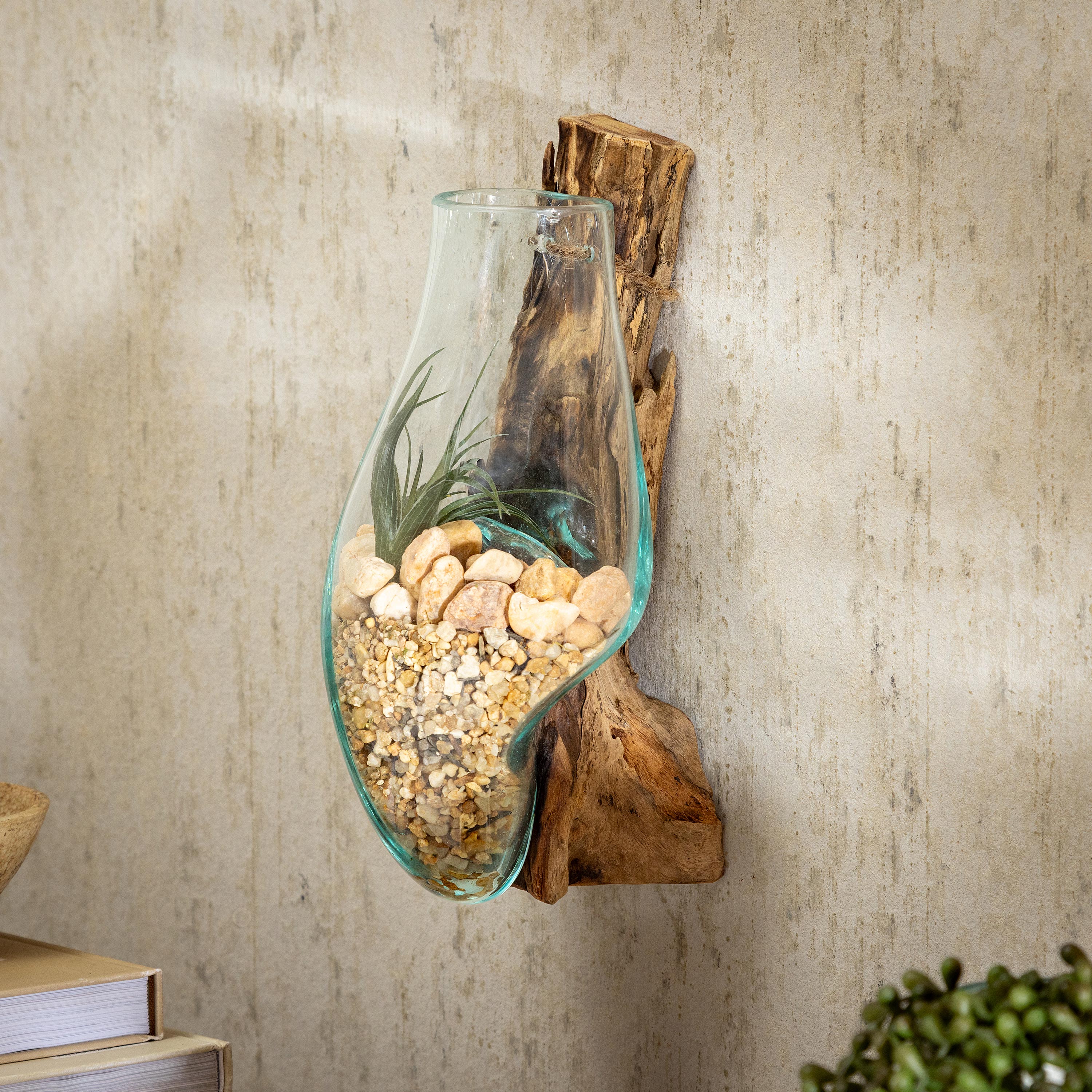 Wall Mounted Glass Planter on Driftwood