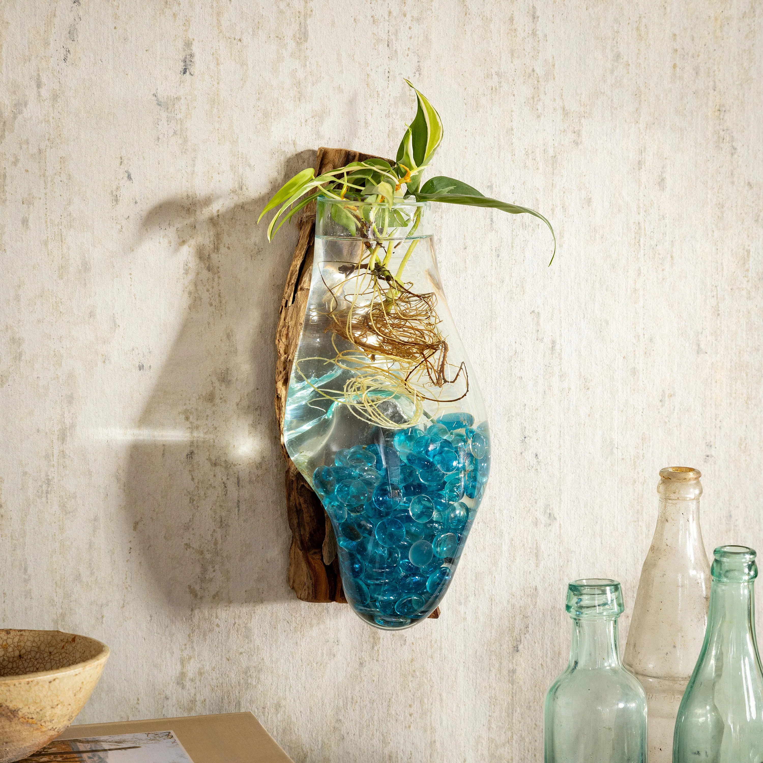 Wall Mounted Glass Planter on Driftwood - Image 2