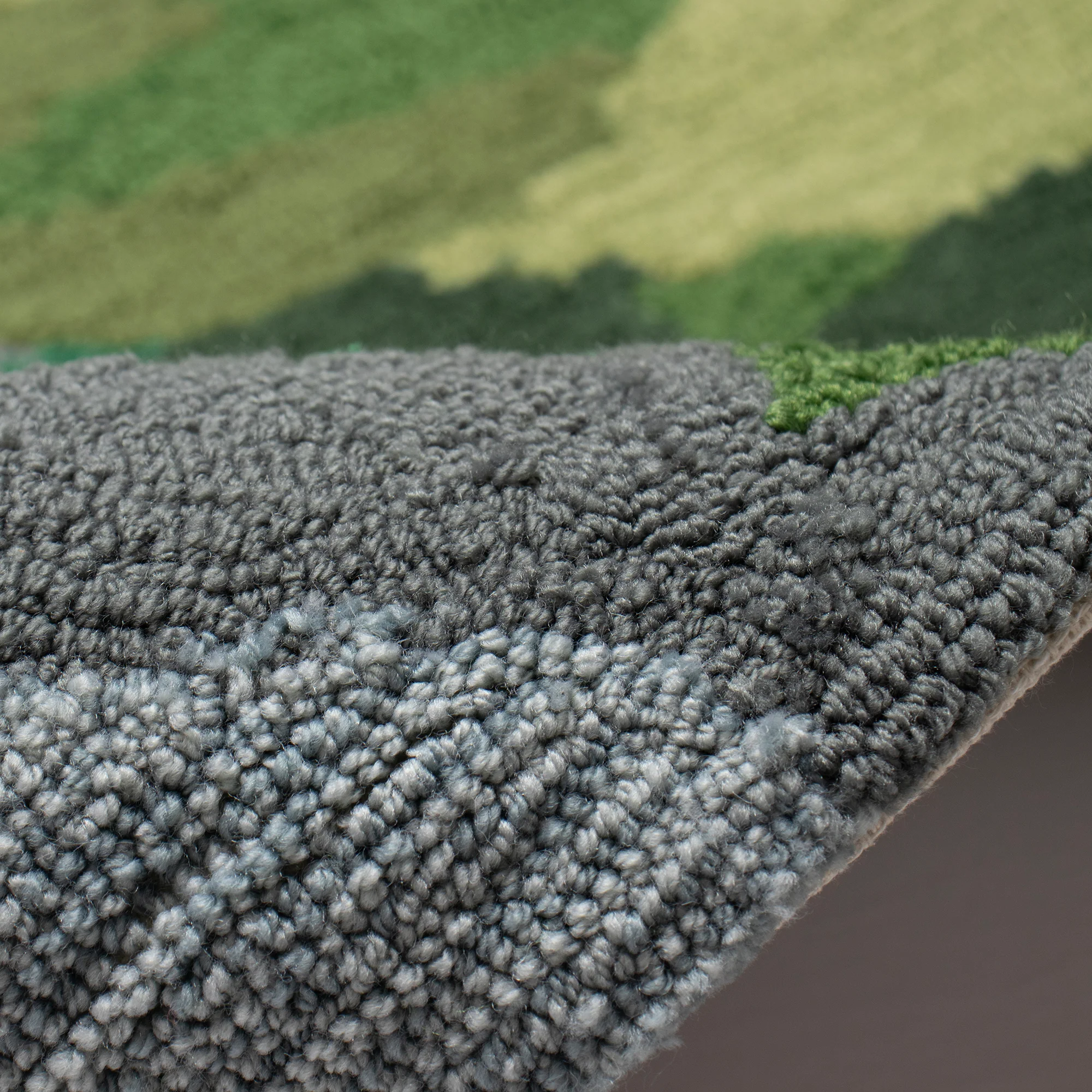 Take A Hike Indoor/Outdoor Rug - Image 10