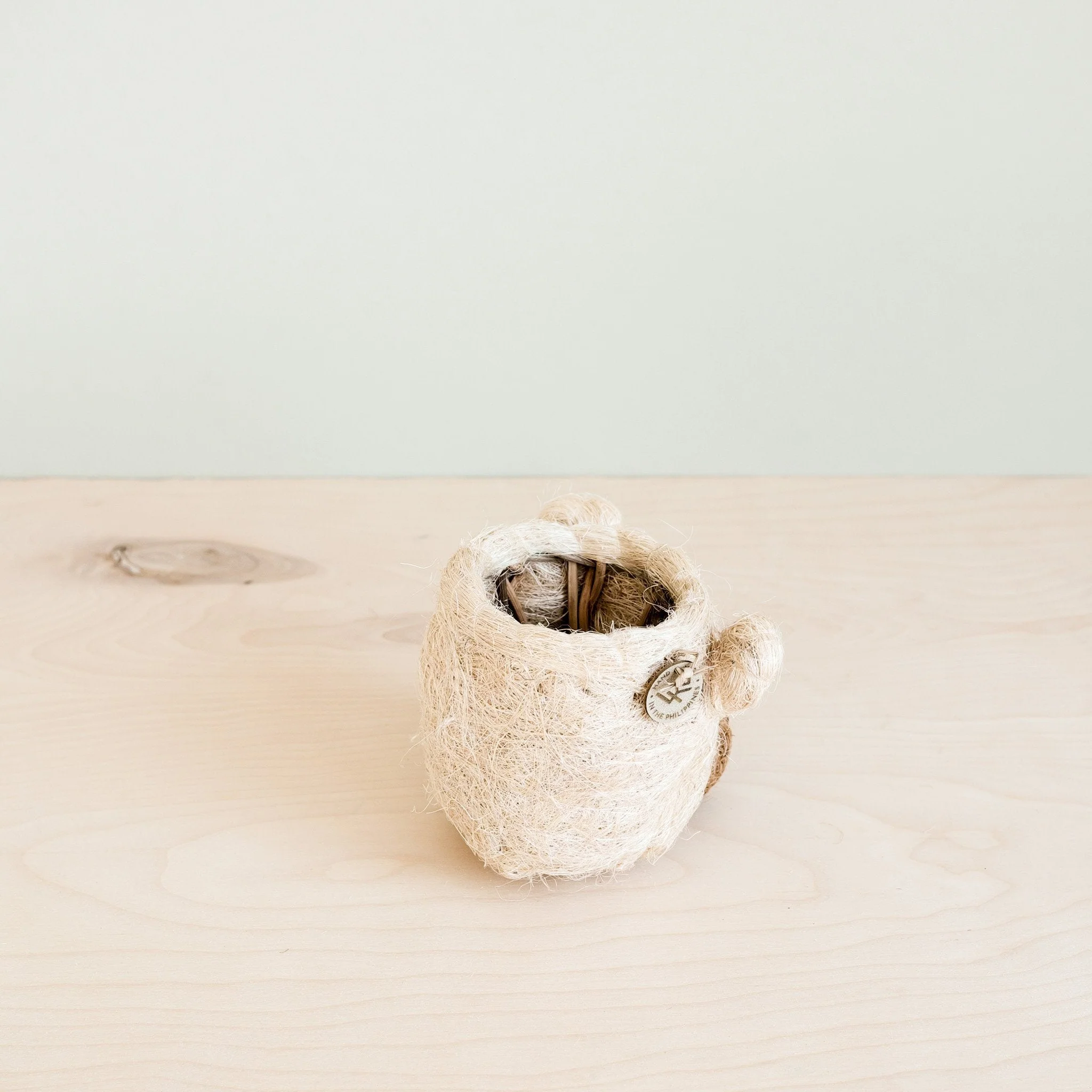 Bear Planter - Animal Head Planters - Image 3