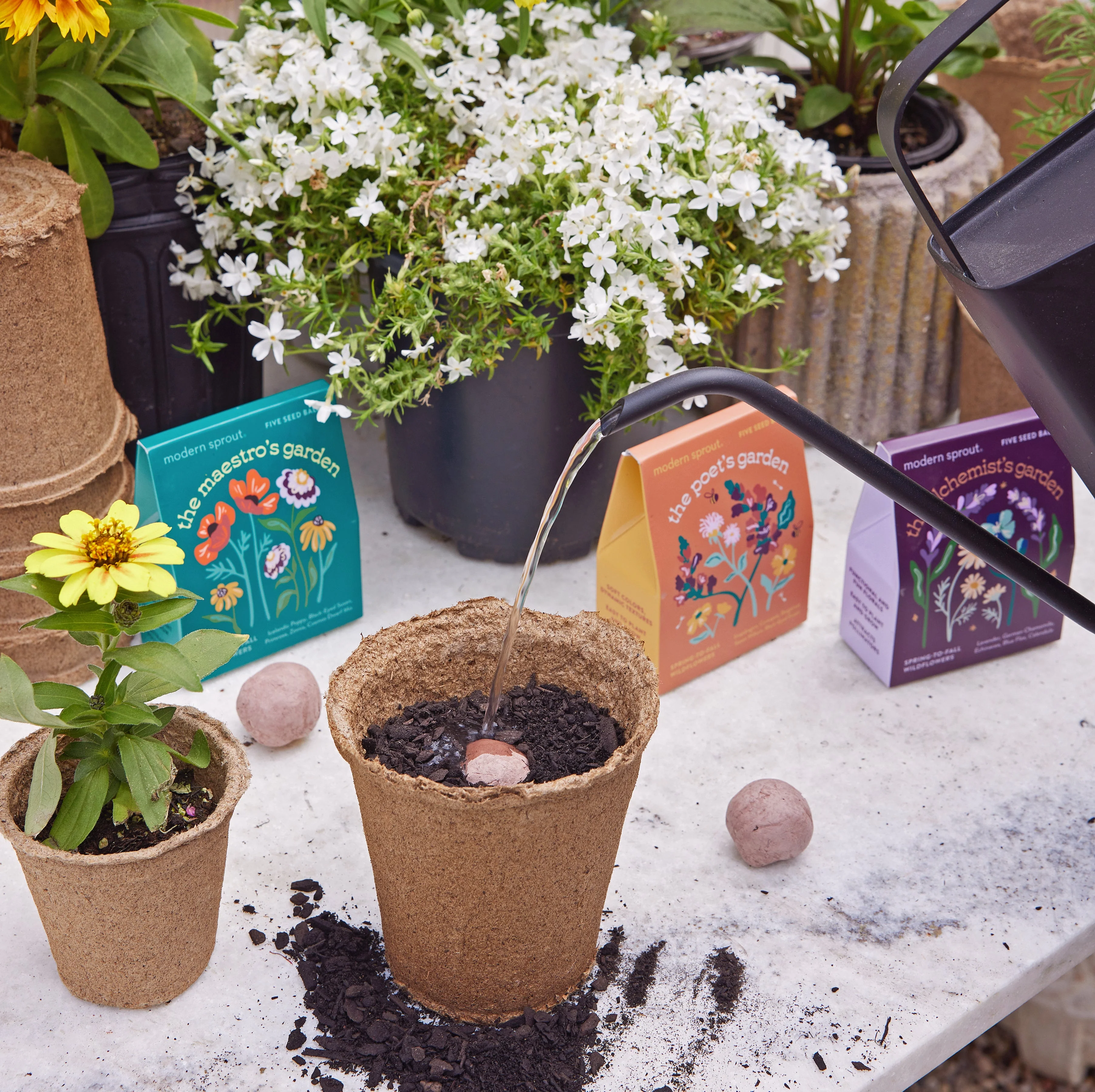 Bespoke Blooms Seed Balls - Image 12