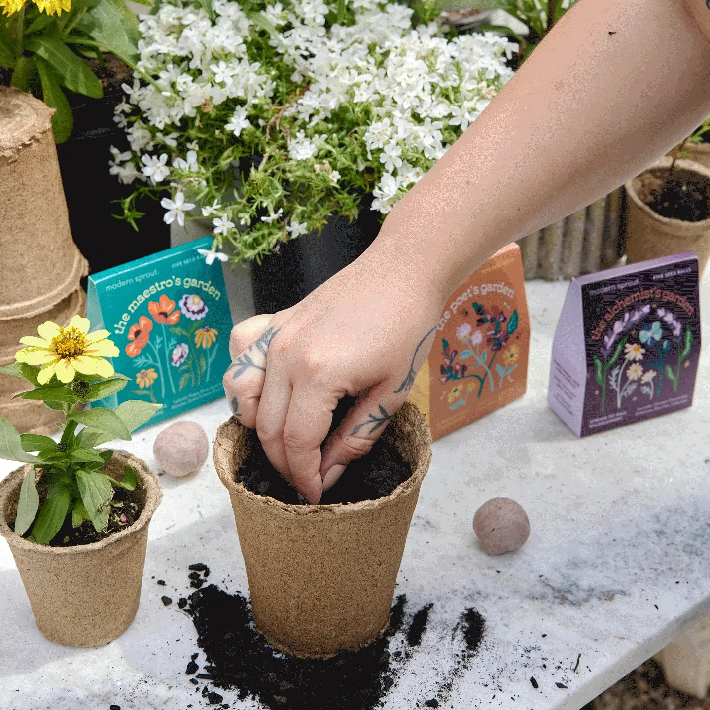 Bespoke Blooms Seed Balls - Image 3