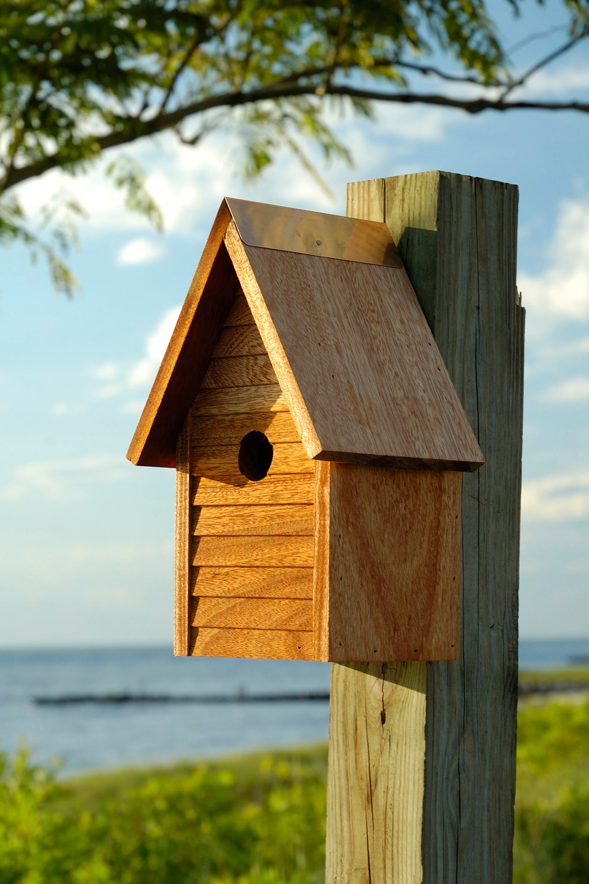 Starter Home Birdhouse