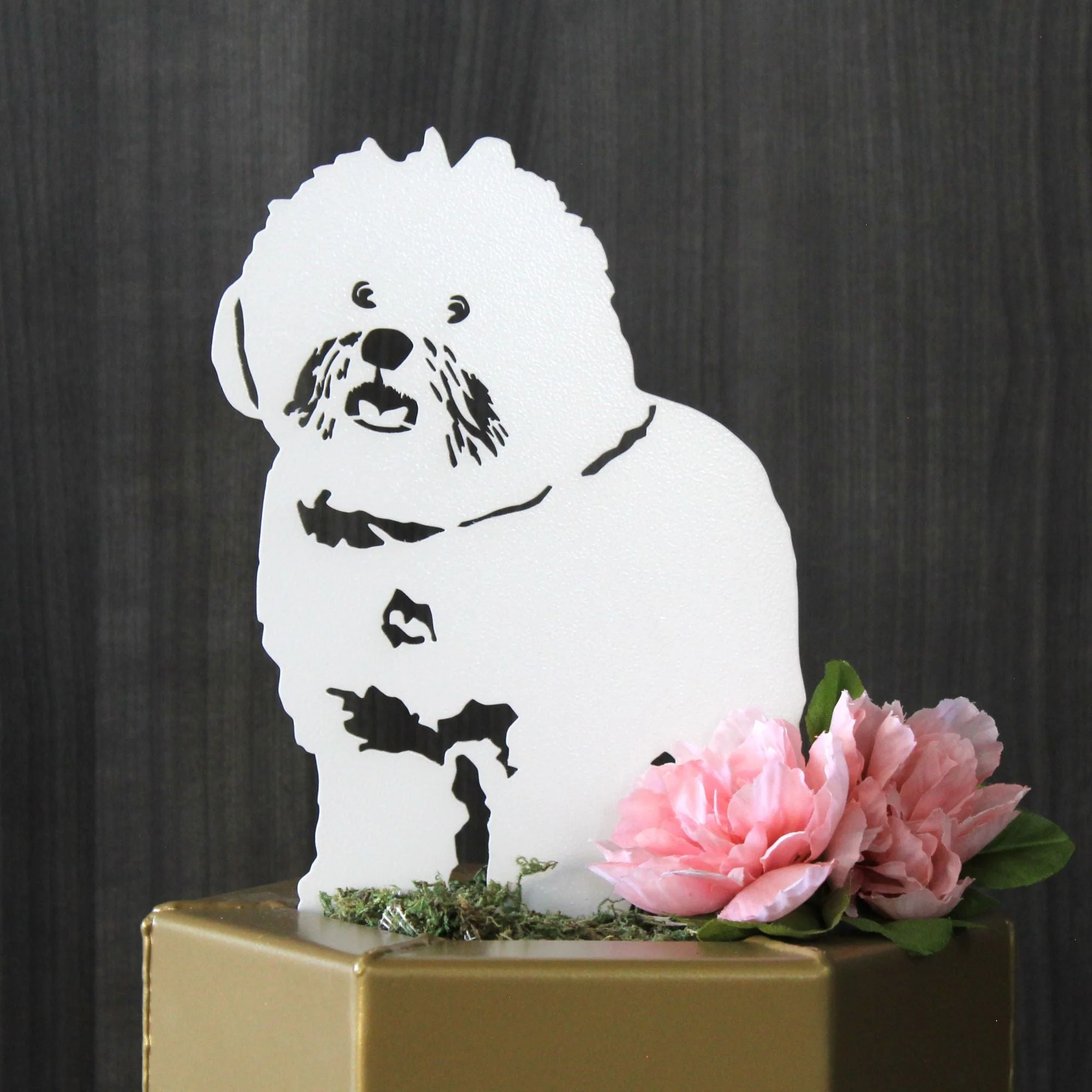 Bichon Frise - Image 13