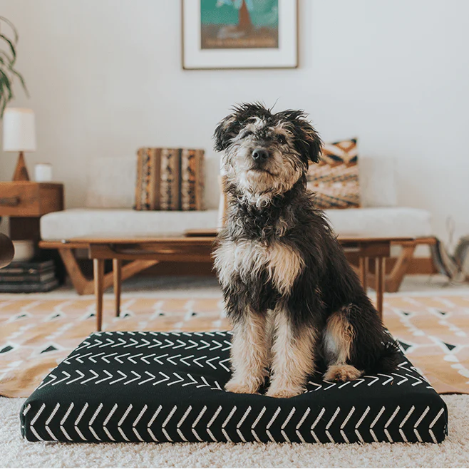 Black Chevron | Boho Dog Bed or Bed Cover