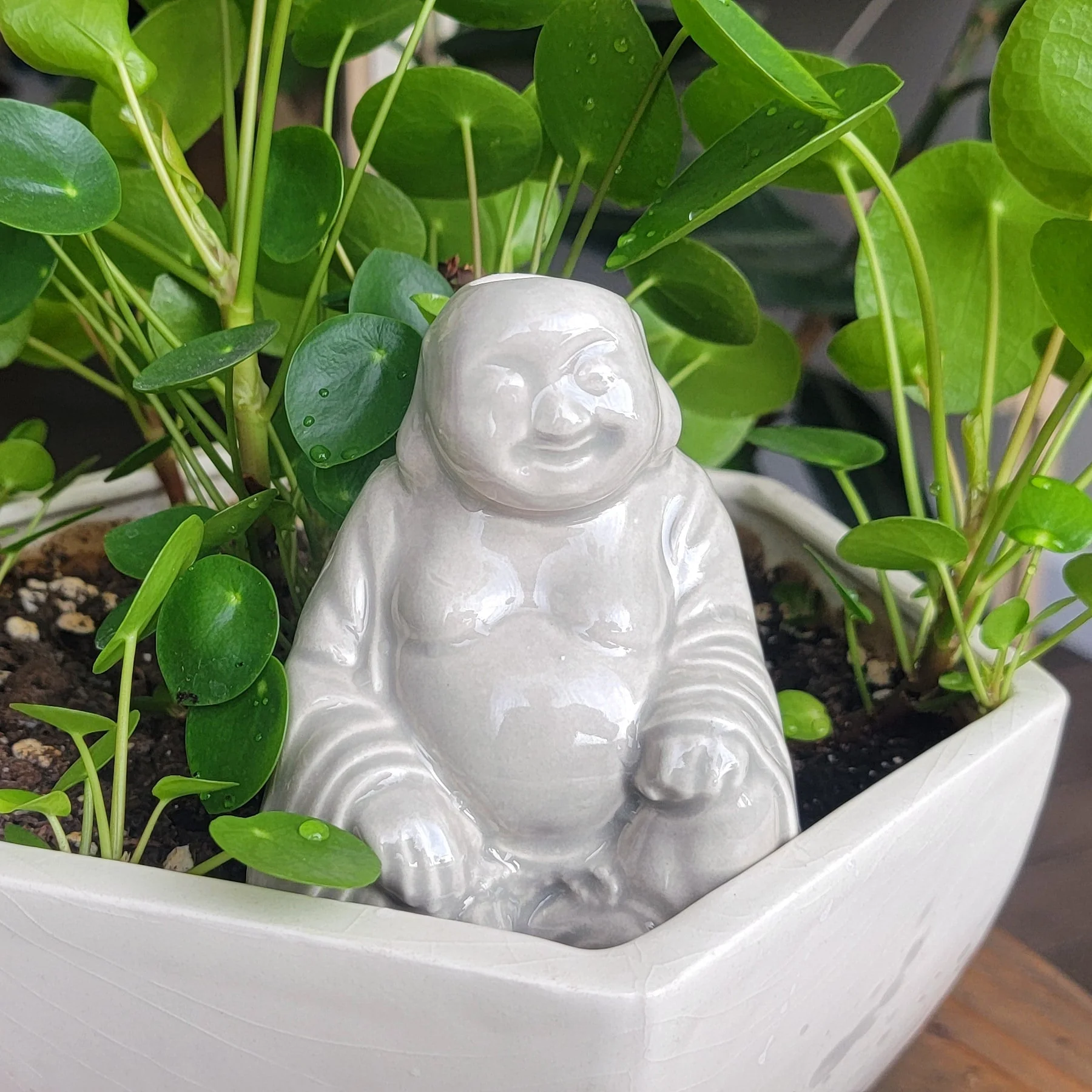 Buddha Watering Spike
