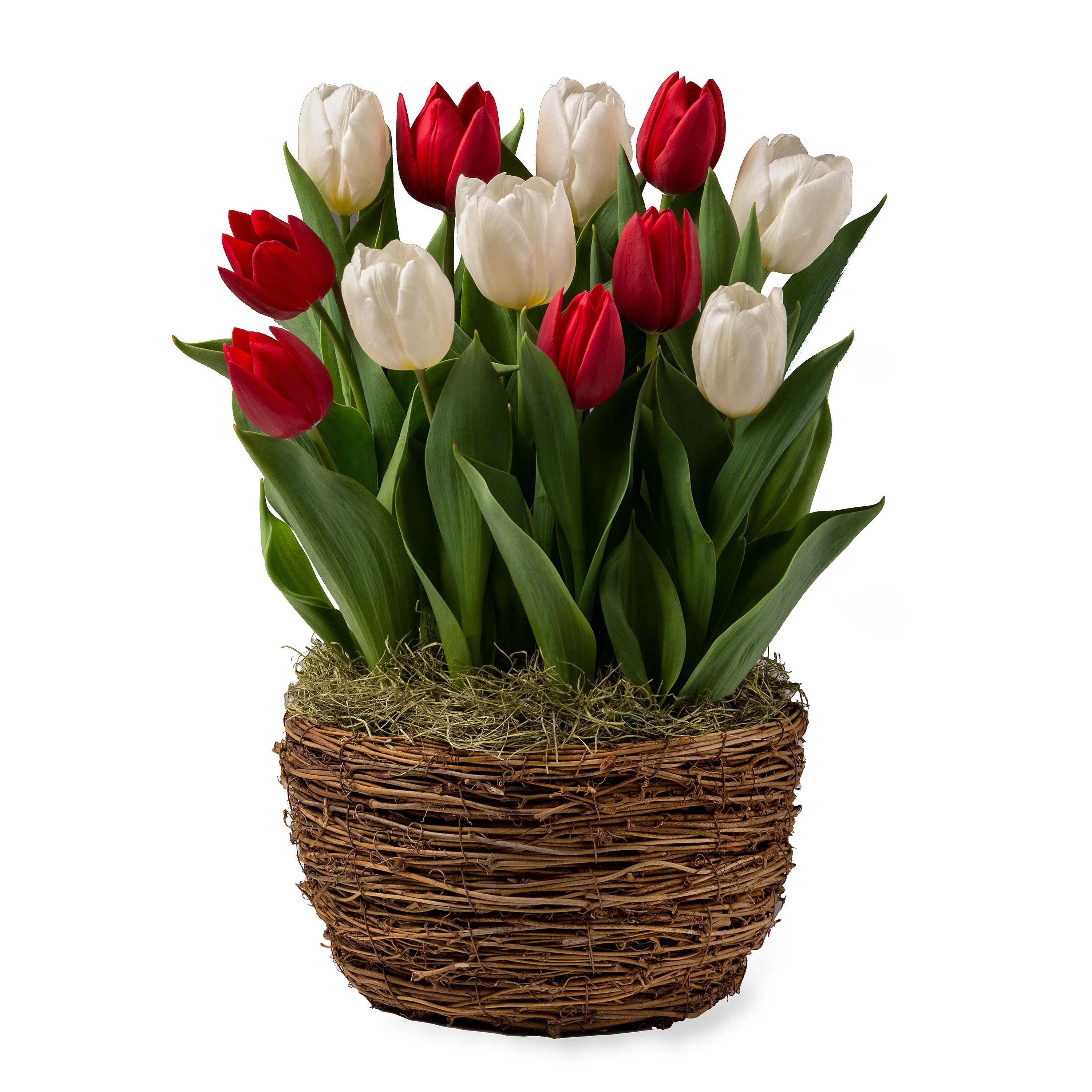 Bundle Product - Image 18