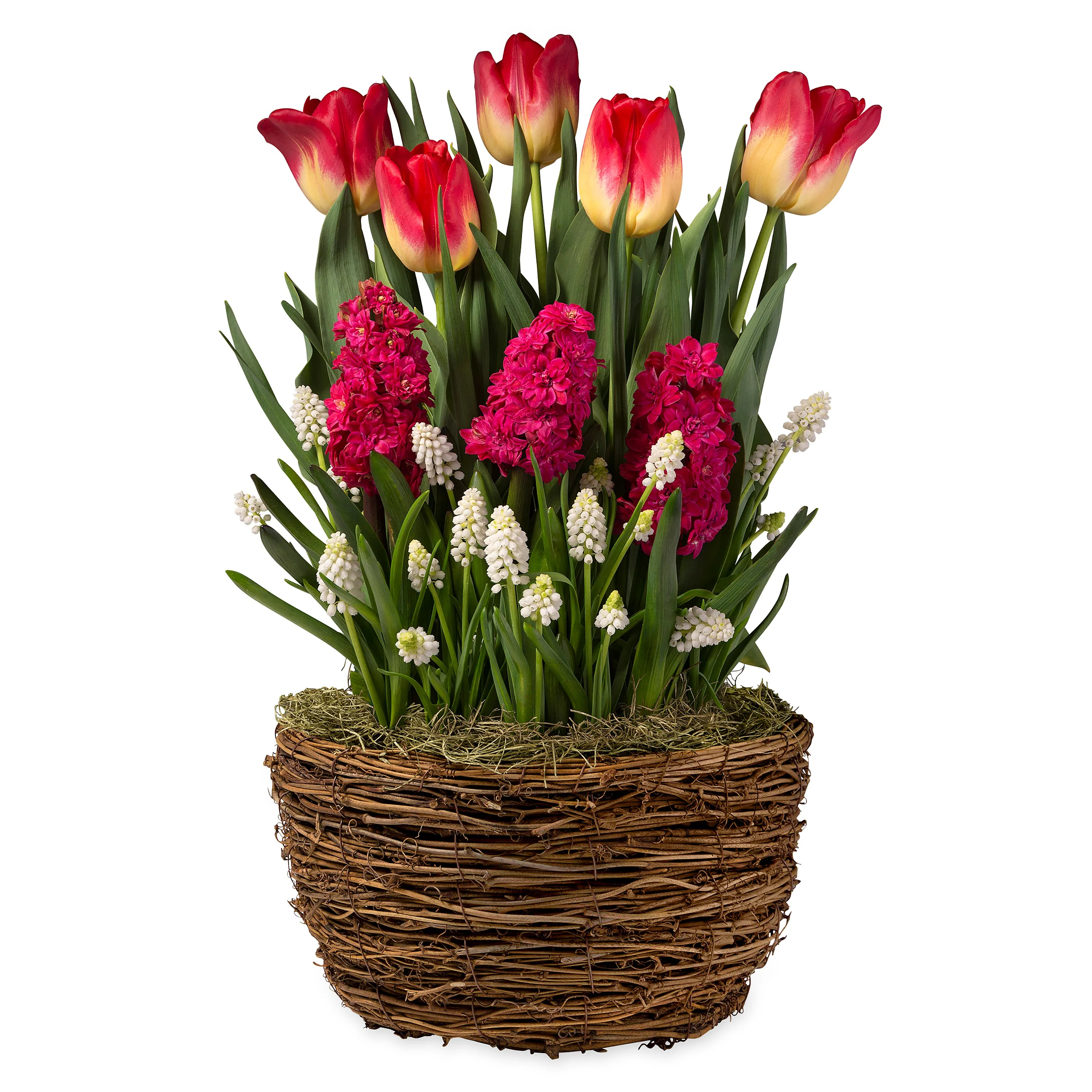 Bundle Product - Image 6