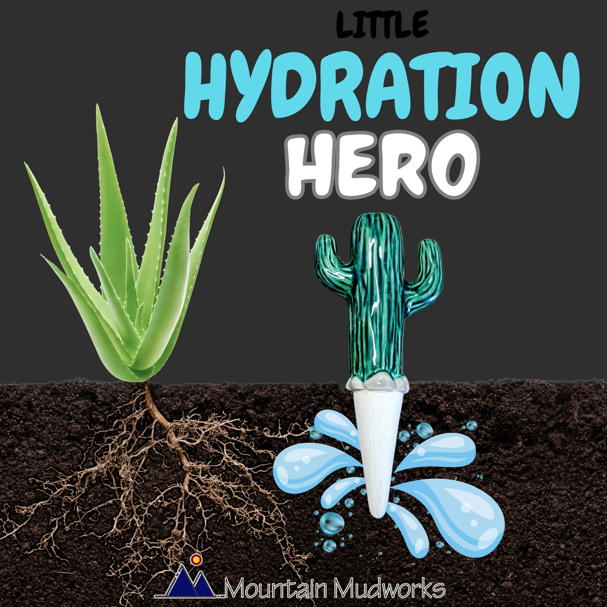 Cactus Watering Spike - Image 5
