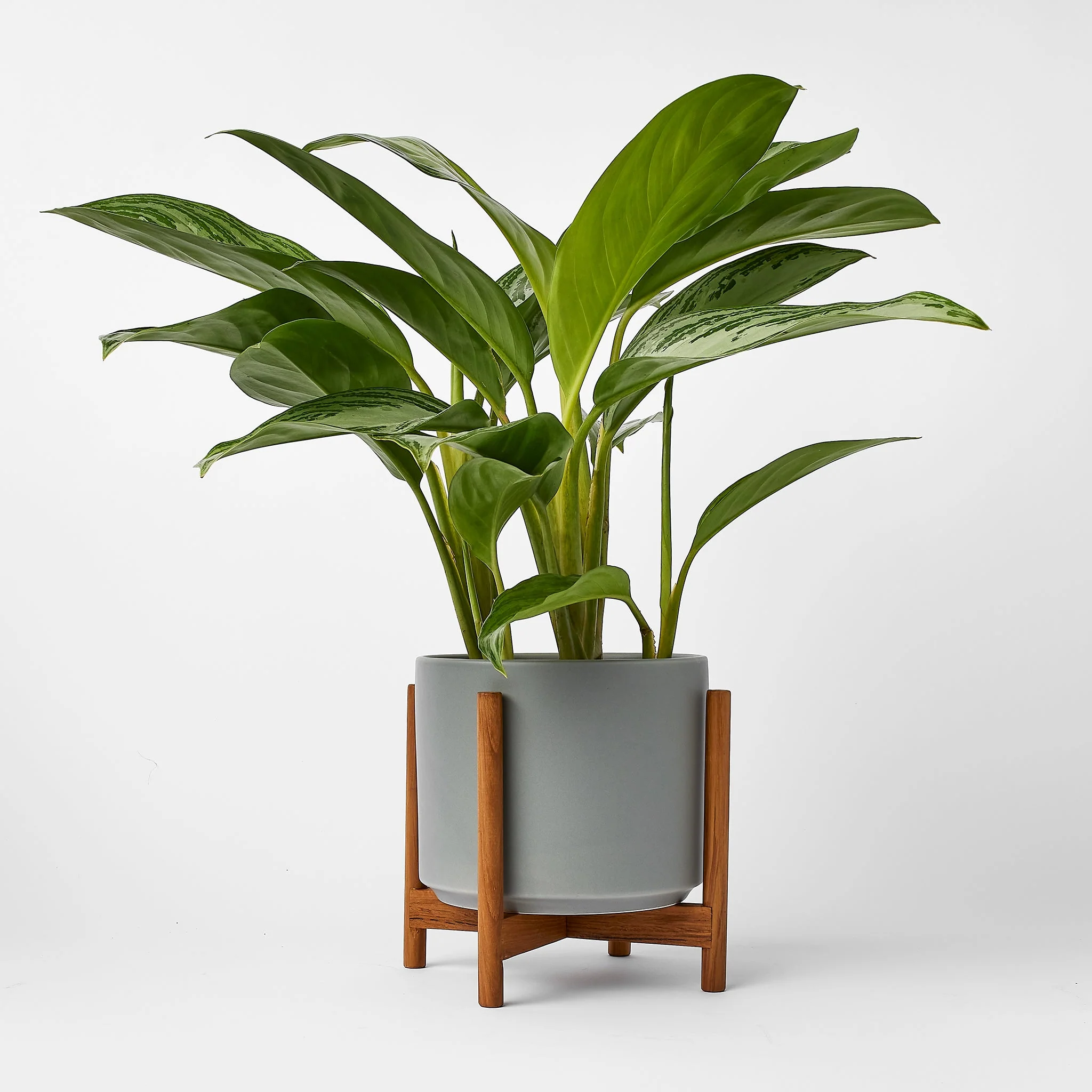 Ceramic Cylinder Planter - Image 55