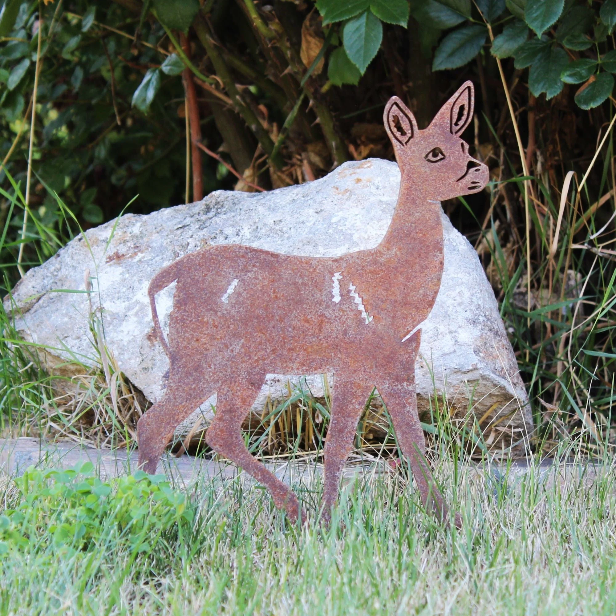 Deer - Doe - Image 6