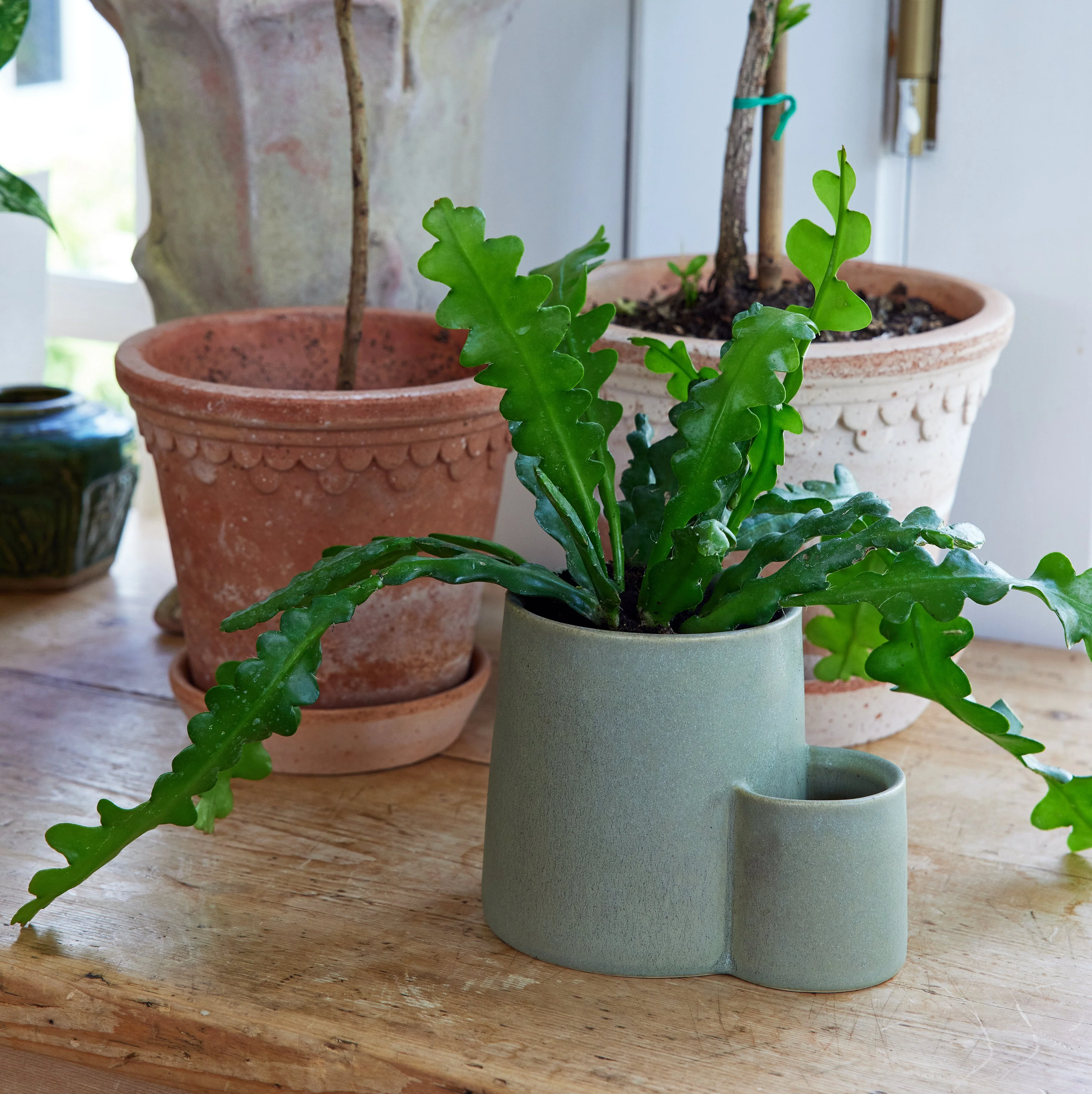Ember Earth Candle + Planter - Image 14
