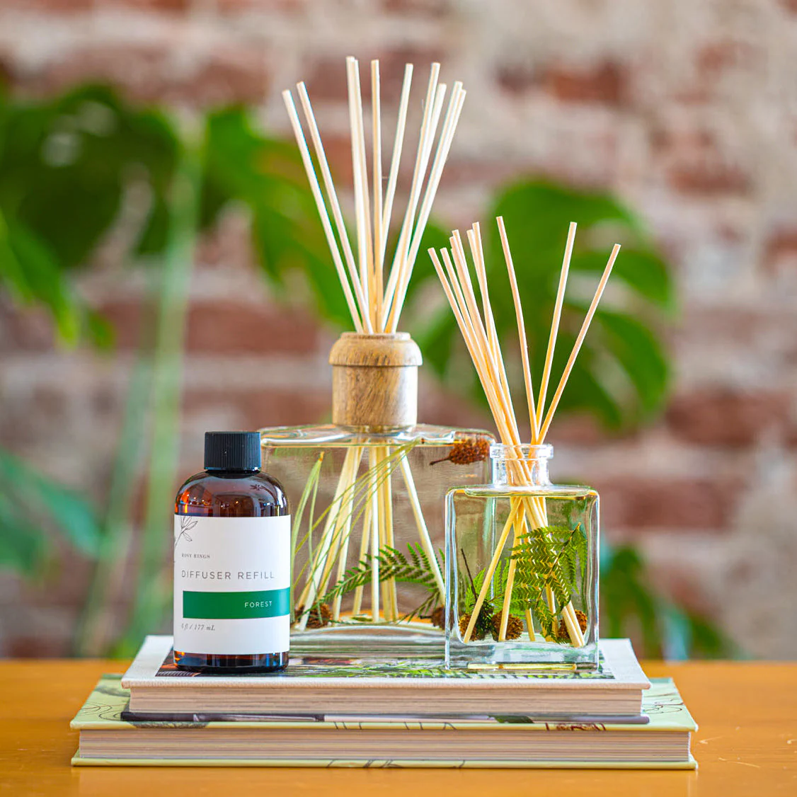 Forest 4 oz Botanical Diffuser - Image 3