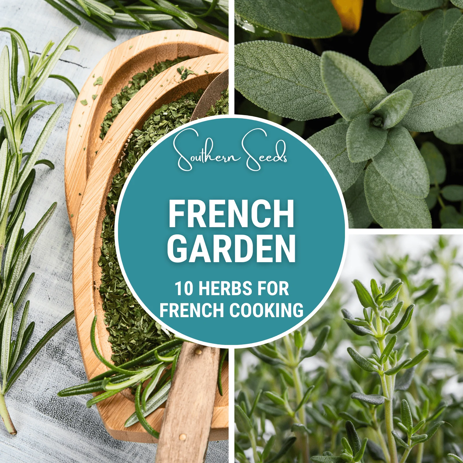 French Garden Seed Collection – 10 Varieties