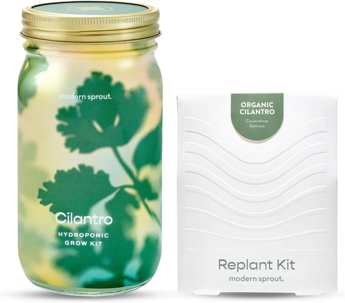 Garden Jars - Organic Herbs - Image 34