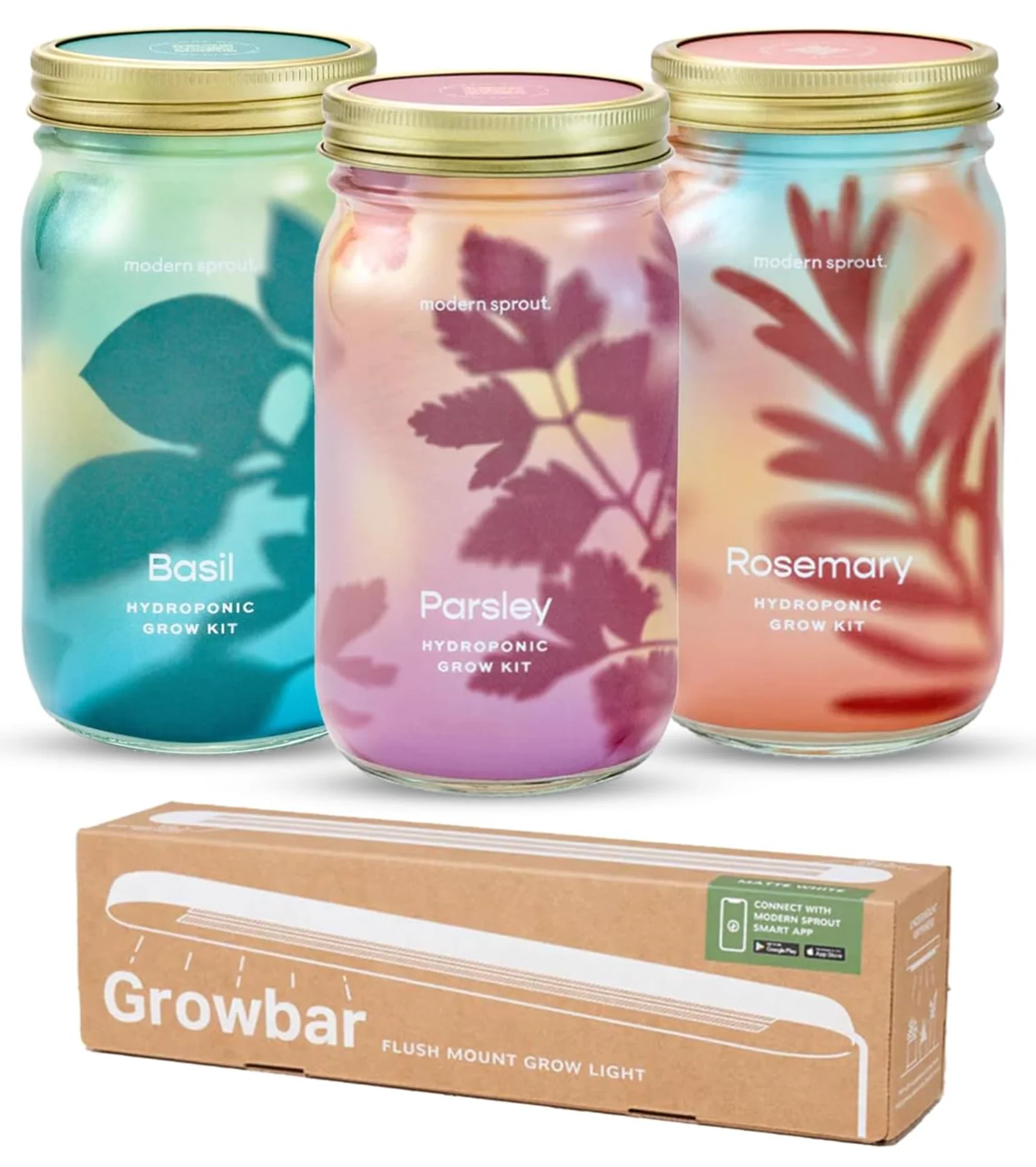 Garden Jars - Organic Herbs - Image 39