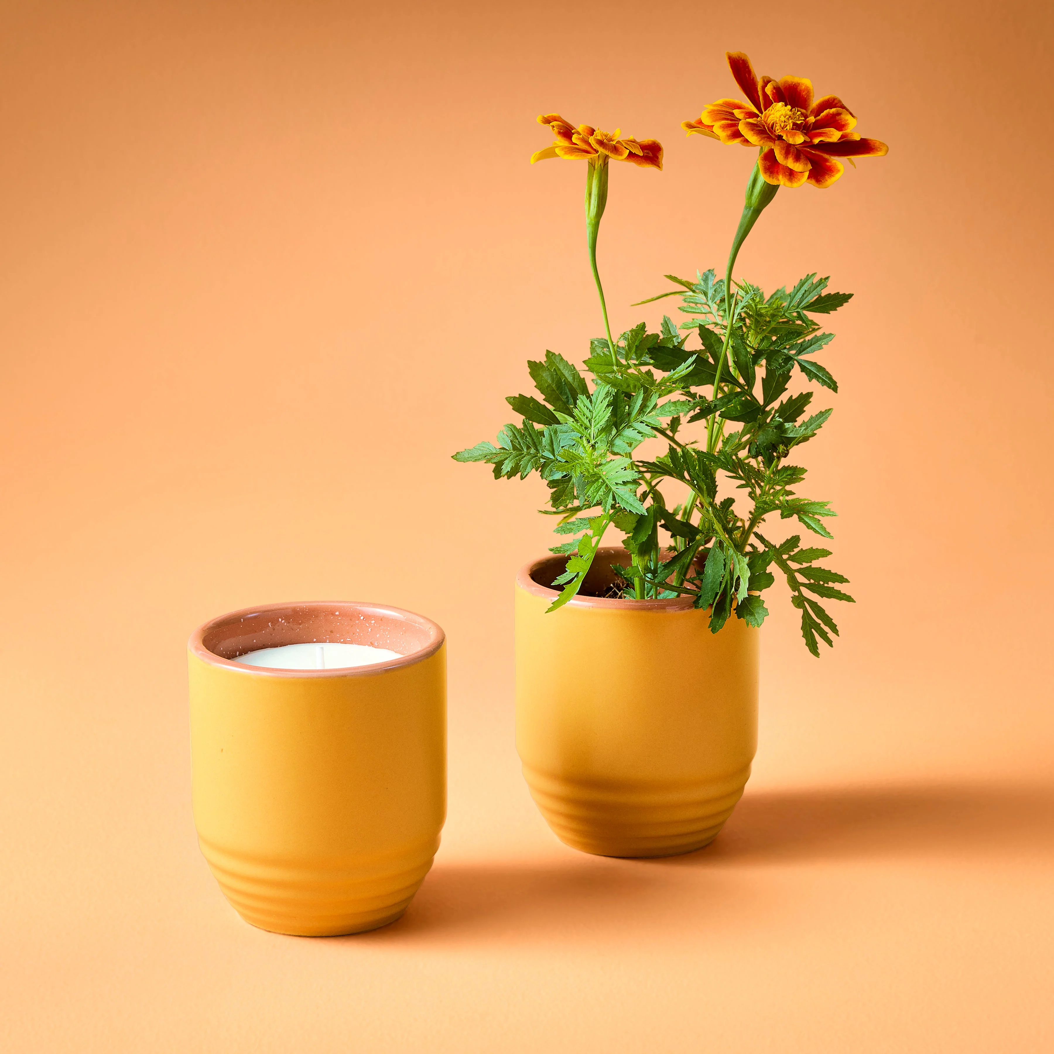 Garden Vibes Candle/Planter 2-in-1 - Image 18