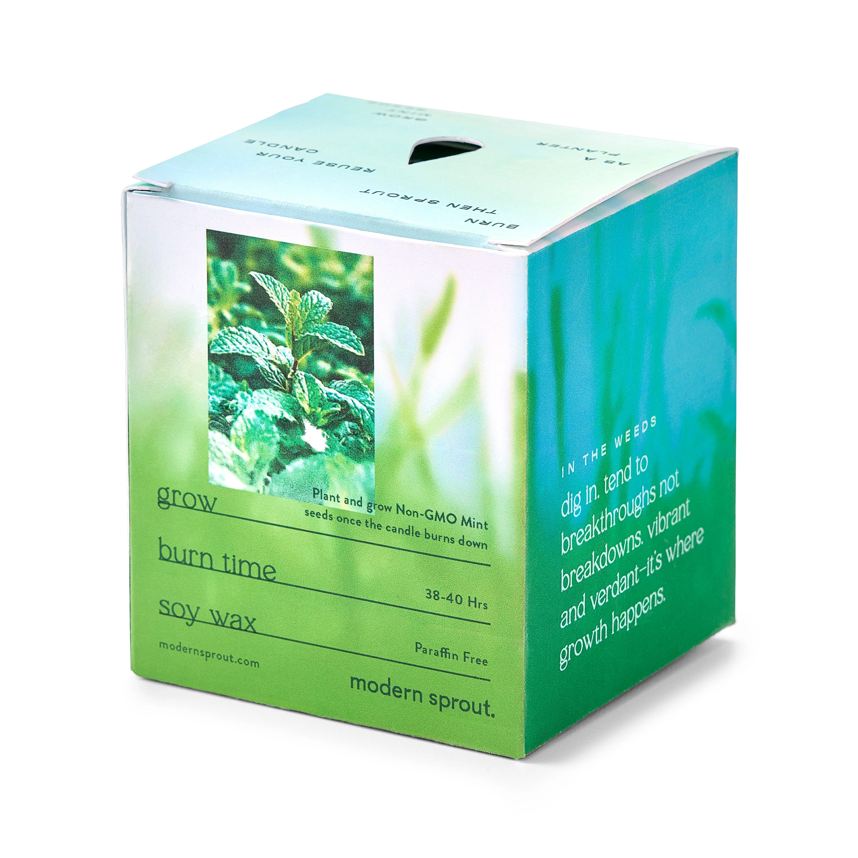 Garden Vibes Candle/Planter 2-in-1 - Image 21