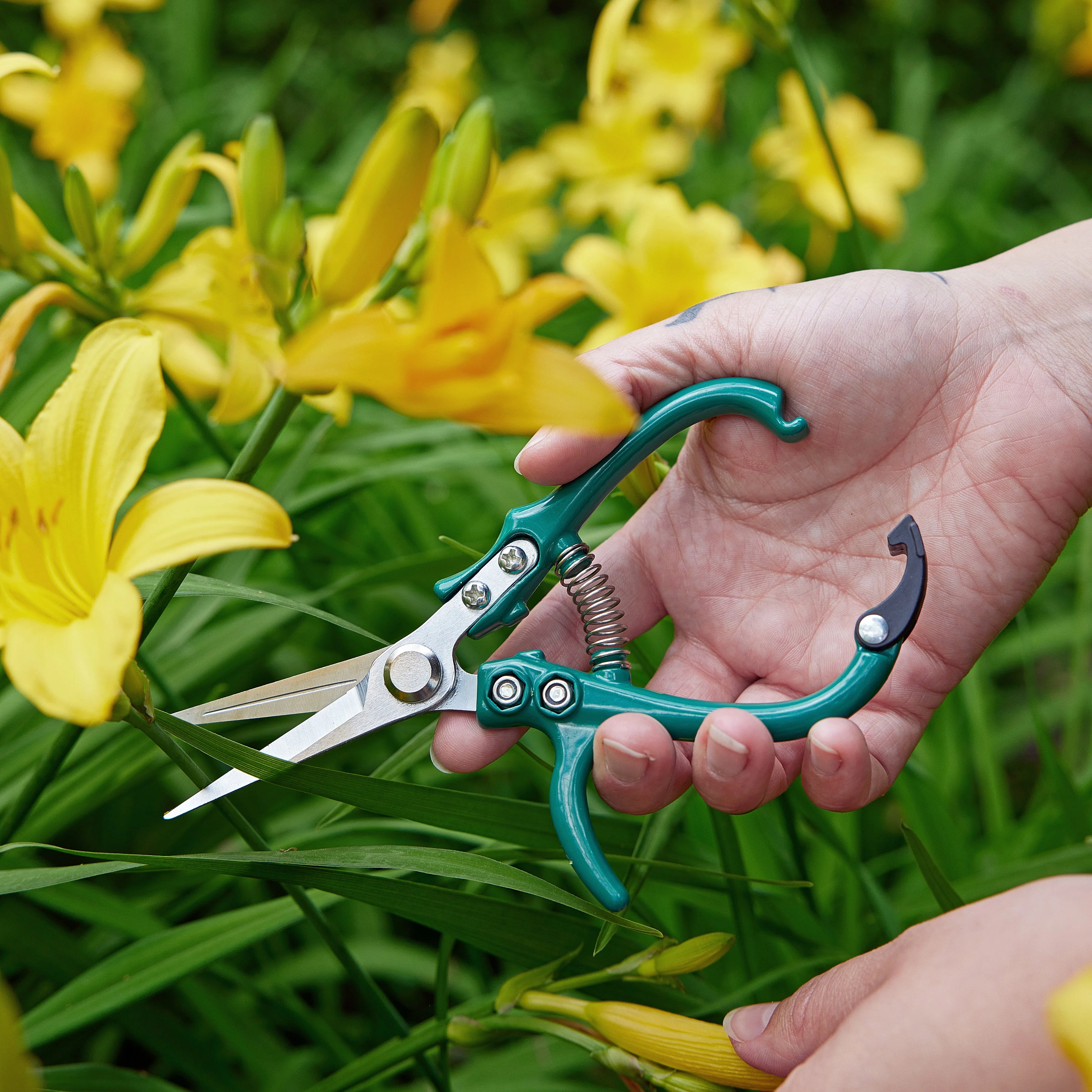 Gardening Shears & Pruners - Image 10