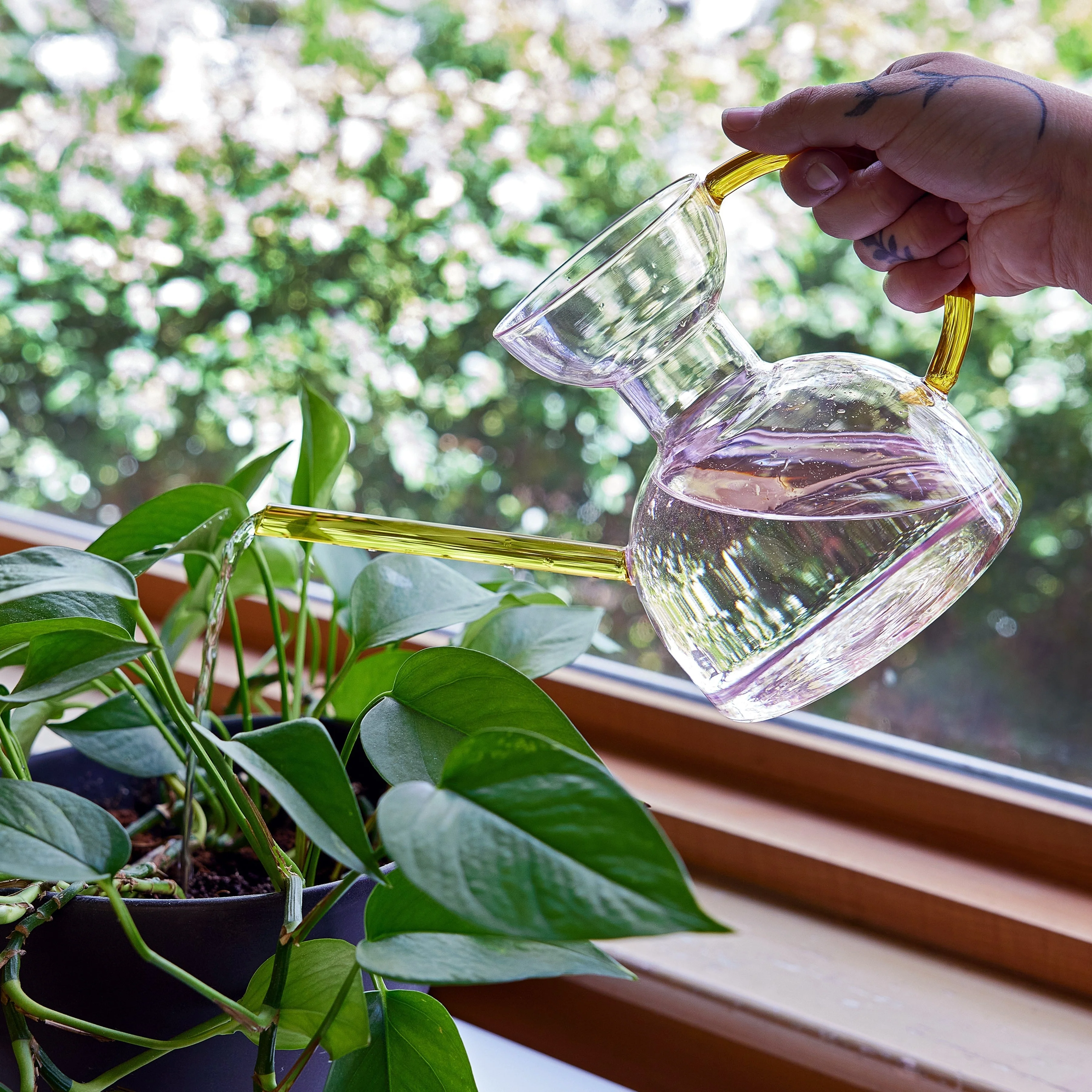 Glass Watering Can - Image 6