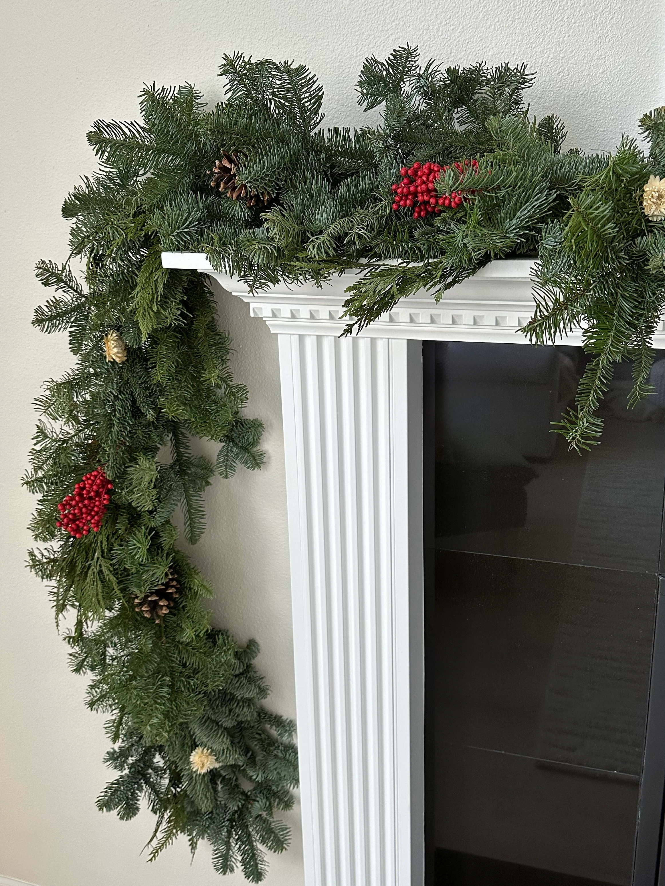 Noble Fir and Red Berries Fresh Garland, 6' - Image 3