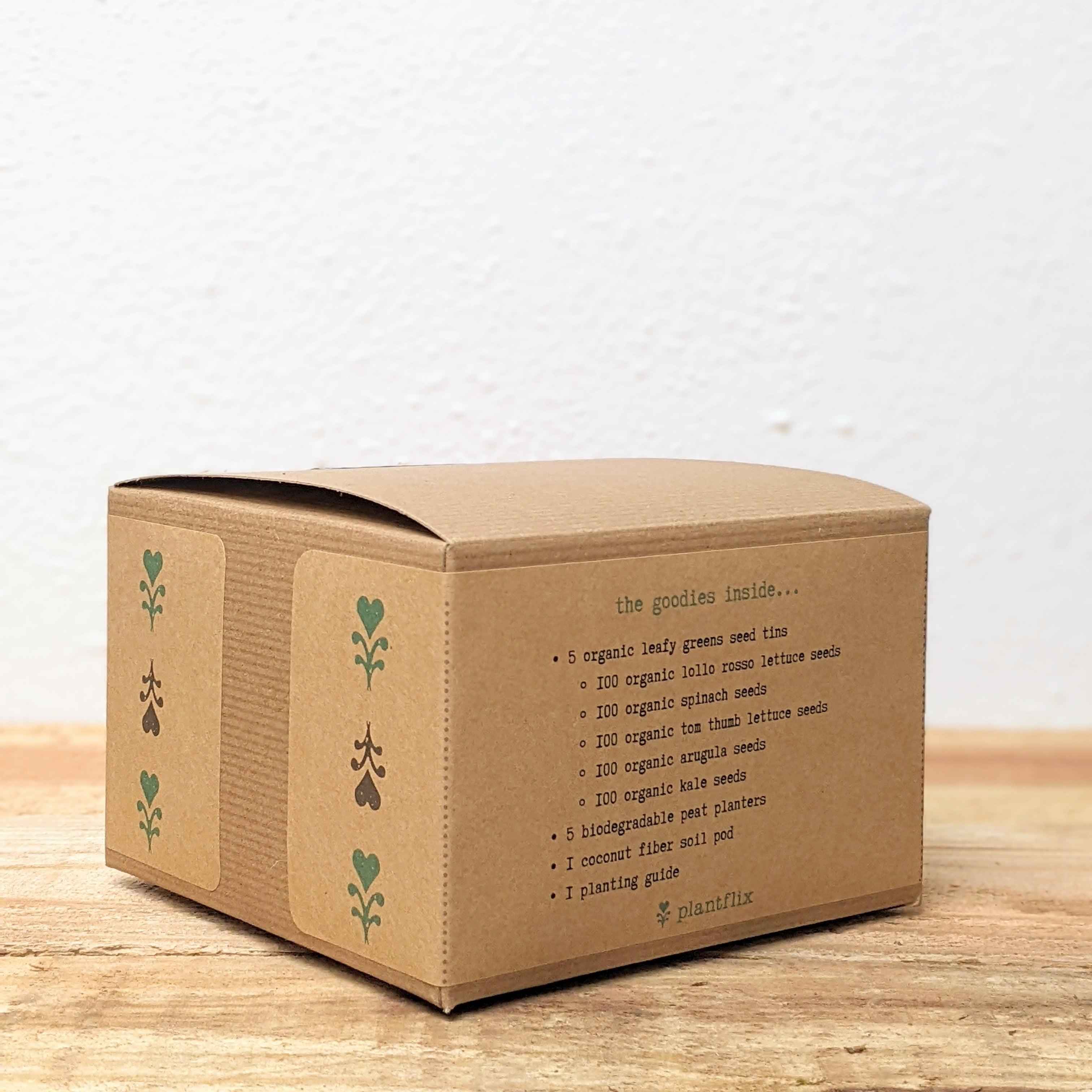 "Grow a Veggie Garden" Leafy Greens Seed Kit - Image 4