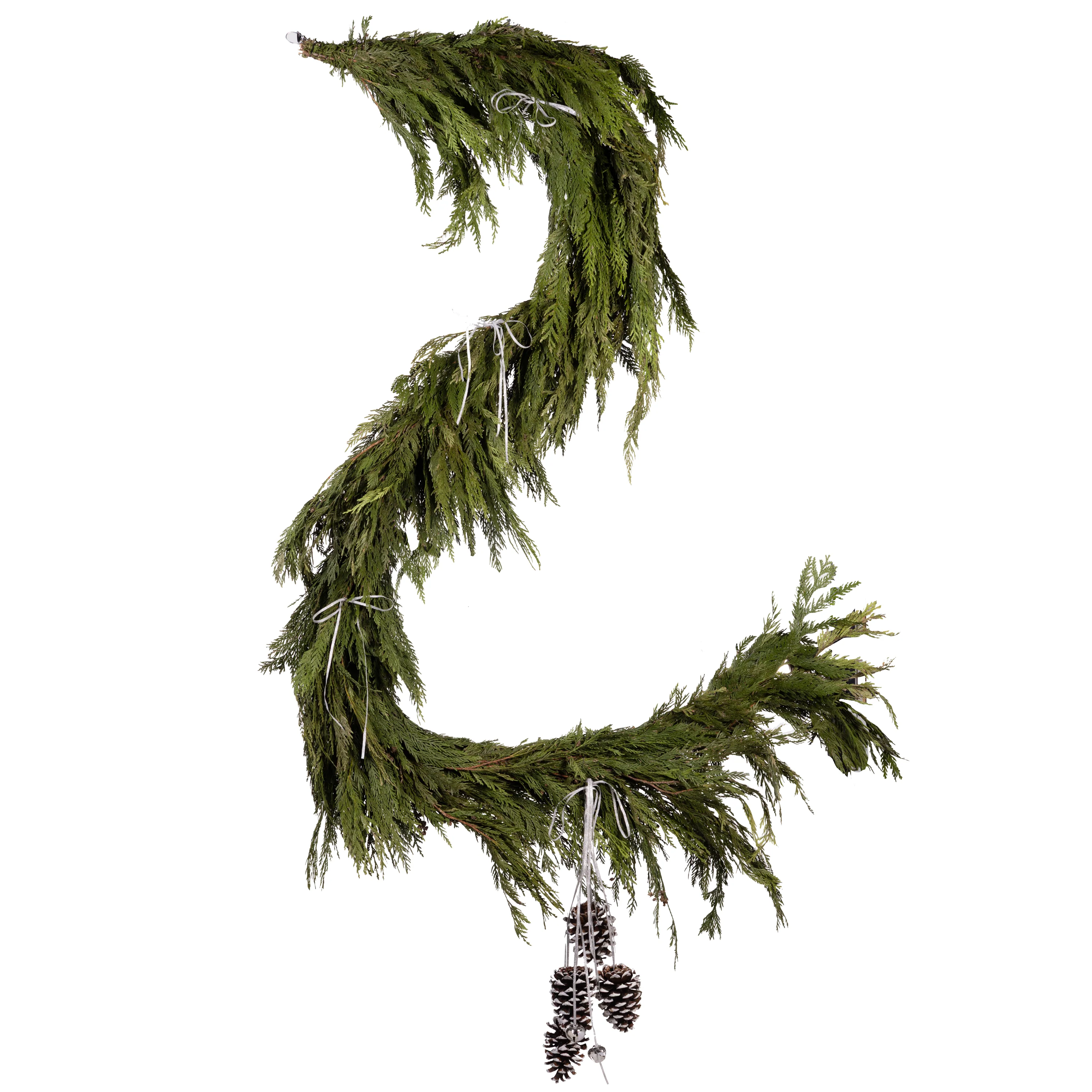 Noble Fir and Pinecone Fresh Garland, 12' - Image 2