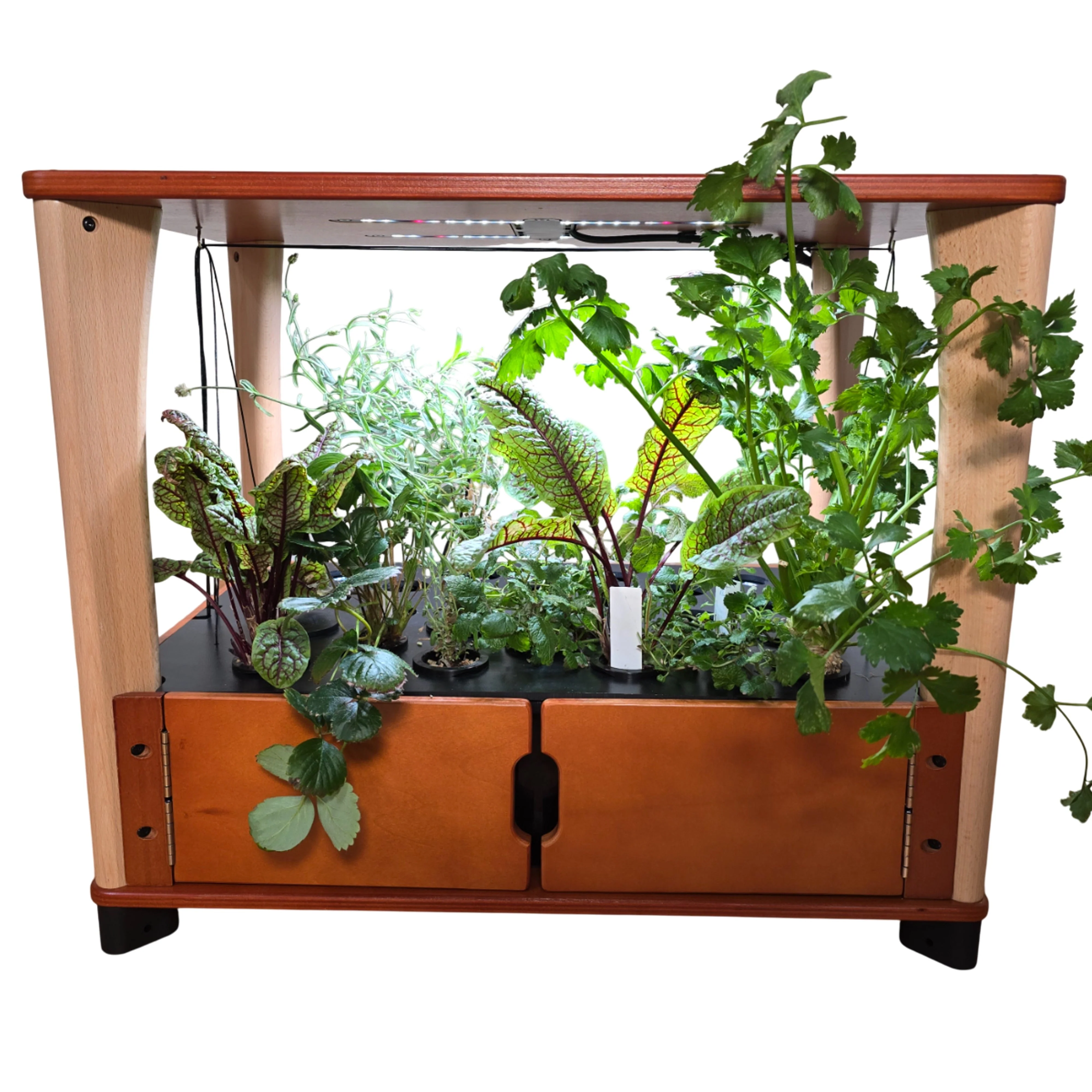 Hydroponic Home Farm - Image 3