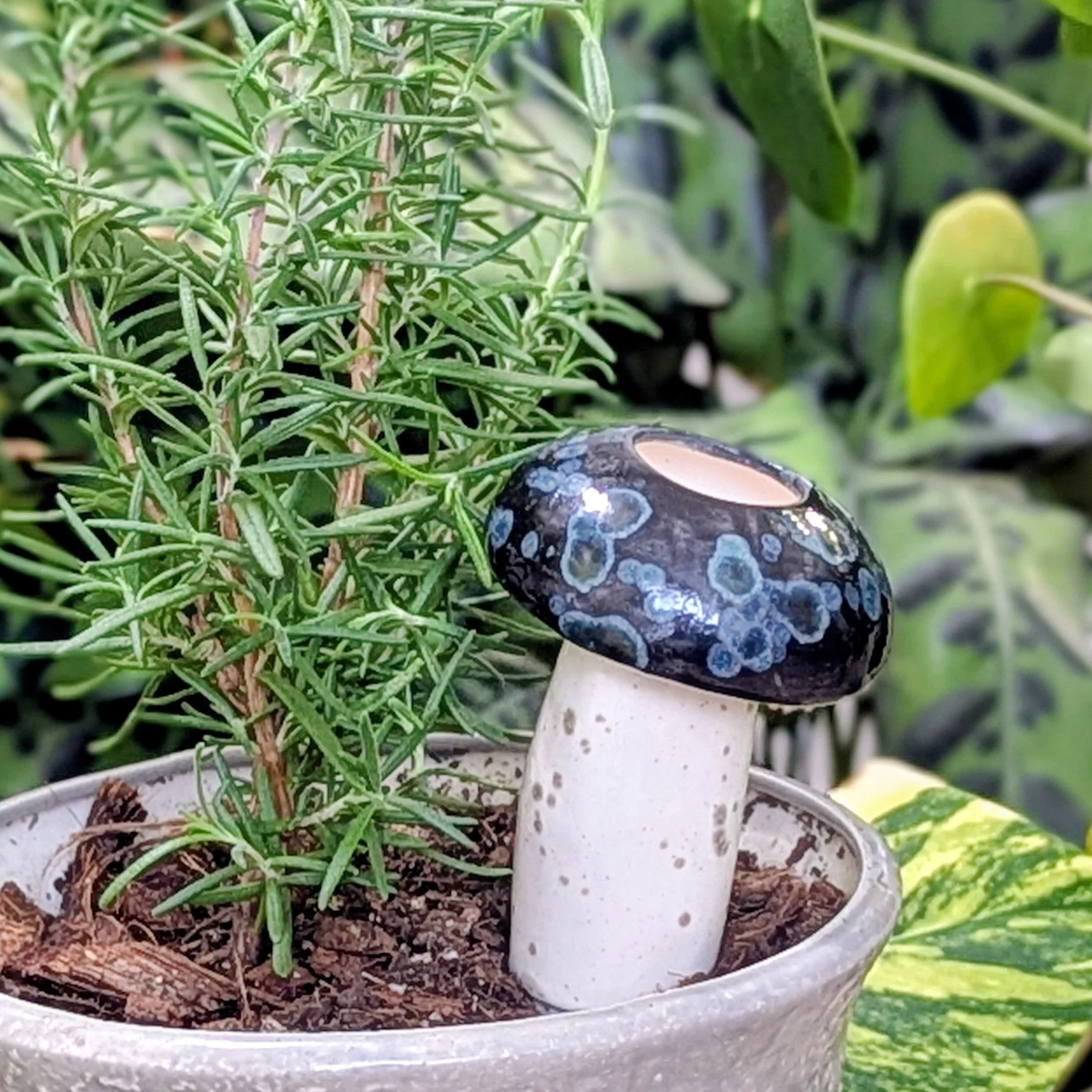 Medium Mushroom Watering Spike - Image 10