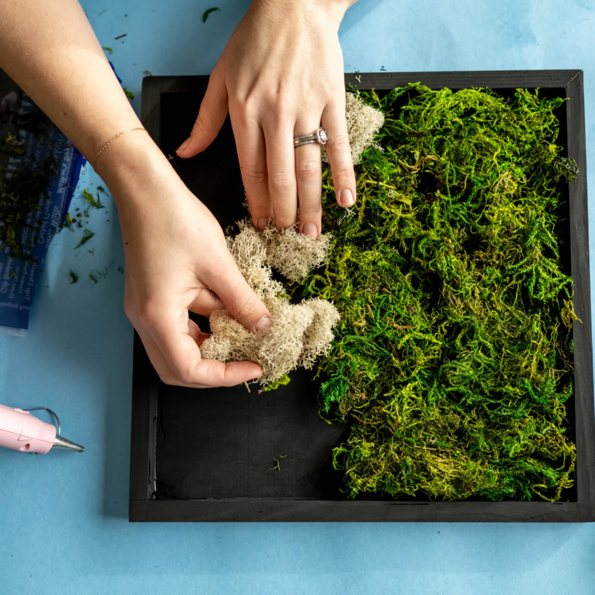 Moss Wall Kit - Image 5