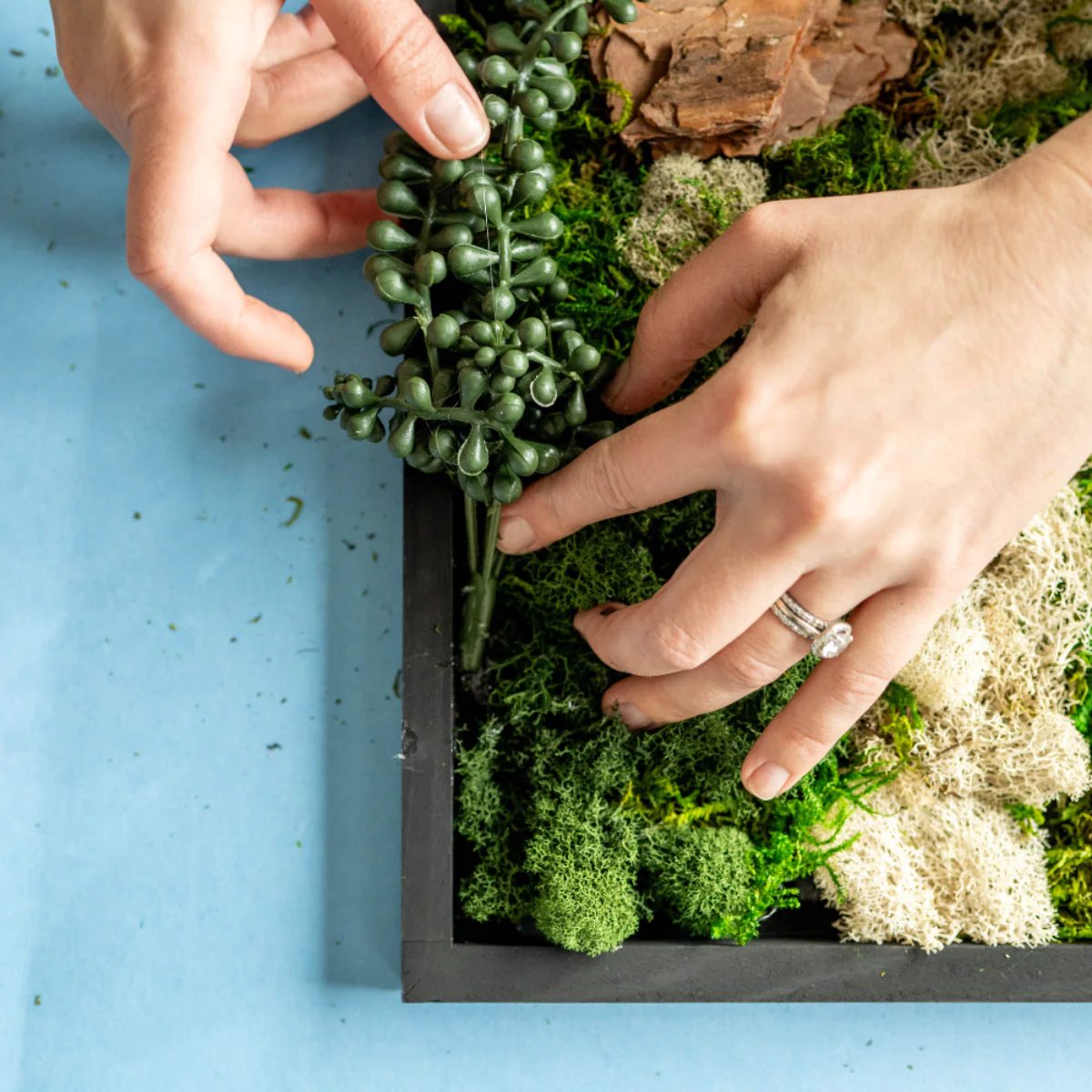Moss Wall Kit - Image 7