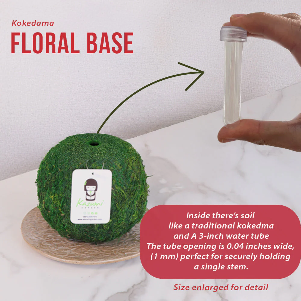 Natural MOSS 4.5" Kokedama Floral Base - Perfect for Single Stems, Fresh Flowers, Dried Blooms, and Minimalist Home Decor - Image 5