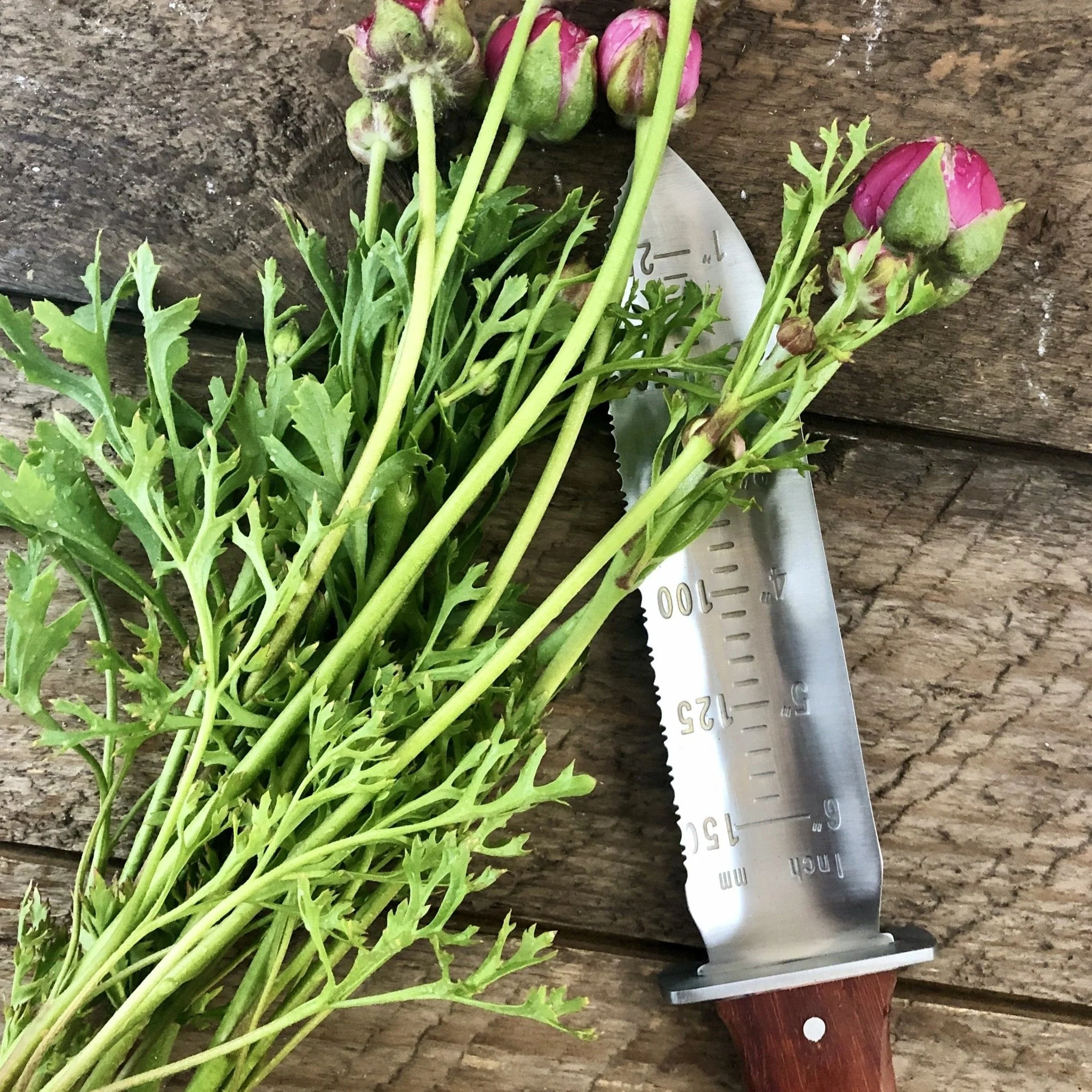 Our Katana Hori Hori Garden Tool - Image 2