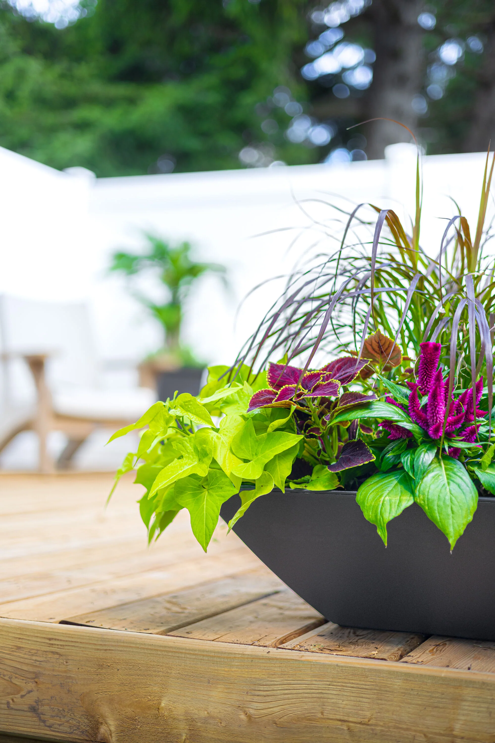 Evolve Square Bowl Planter - Image 4