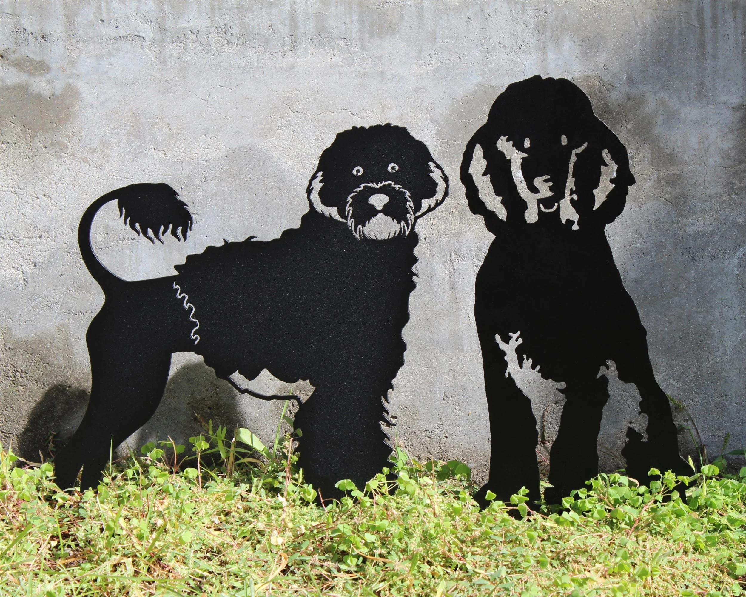 Poodle - Image 18